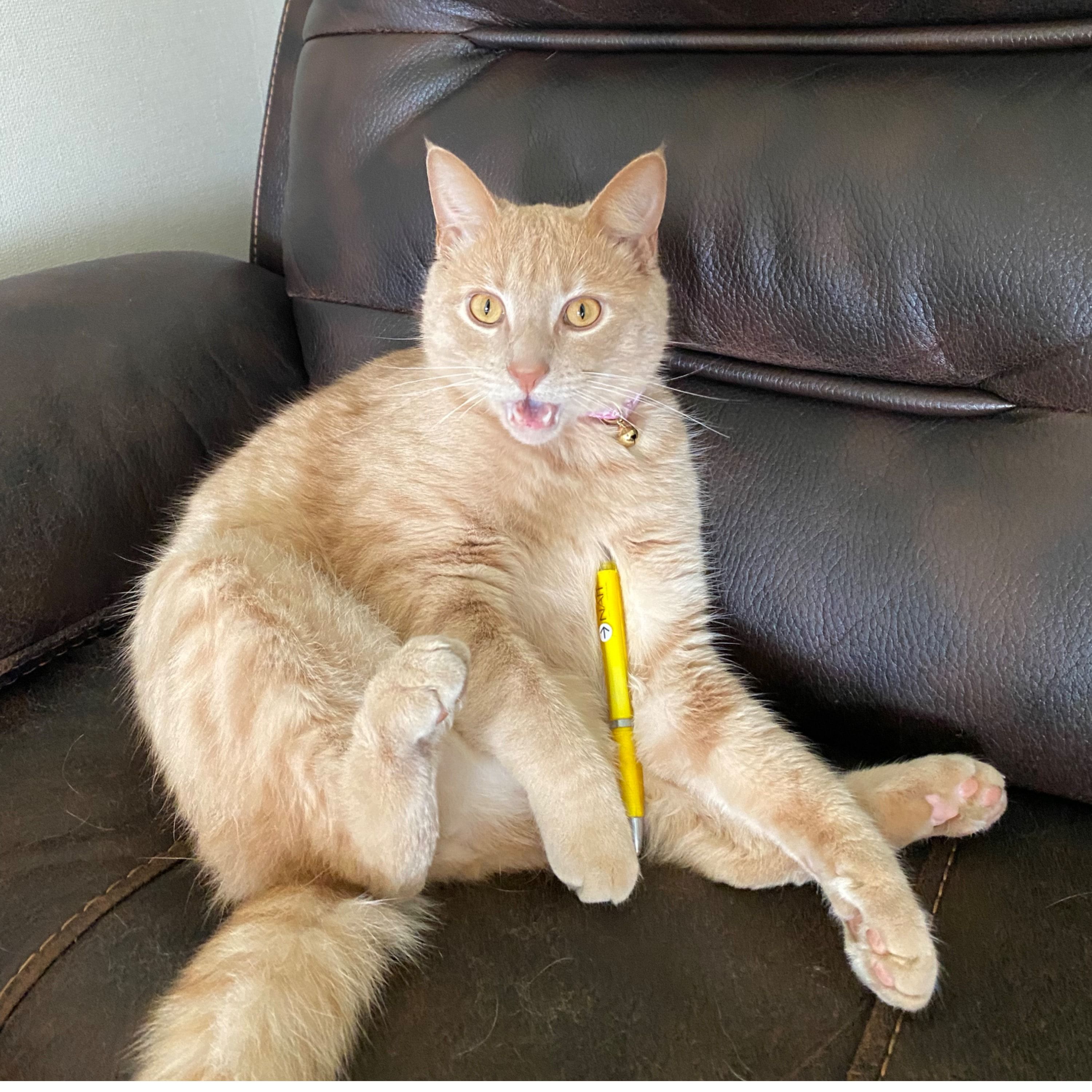 Pickles