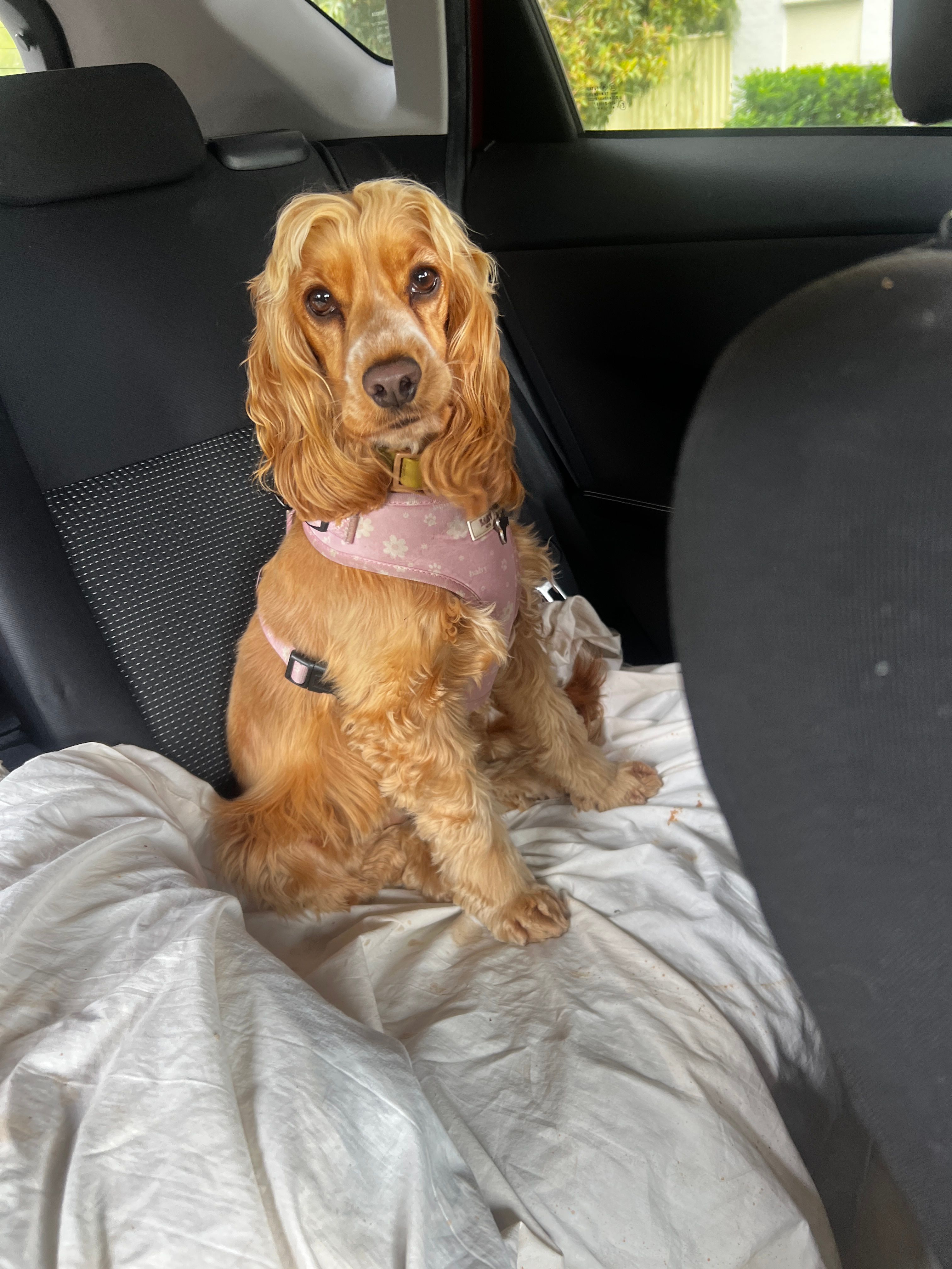 image-20
