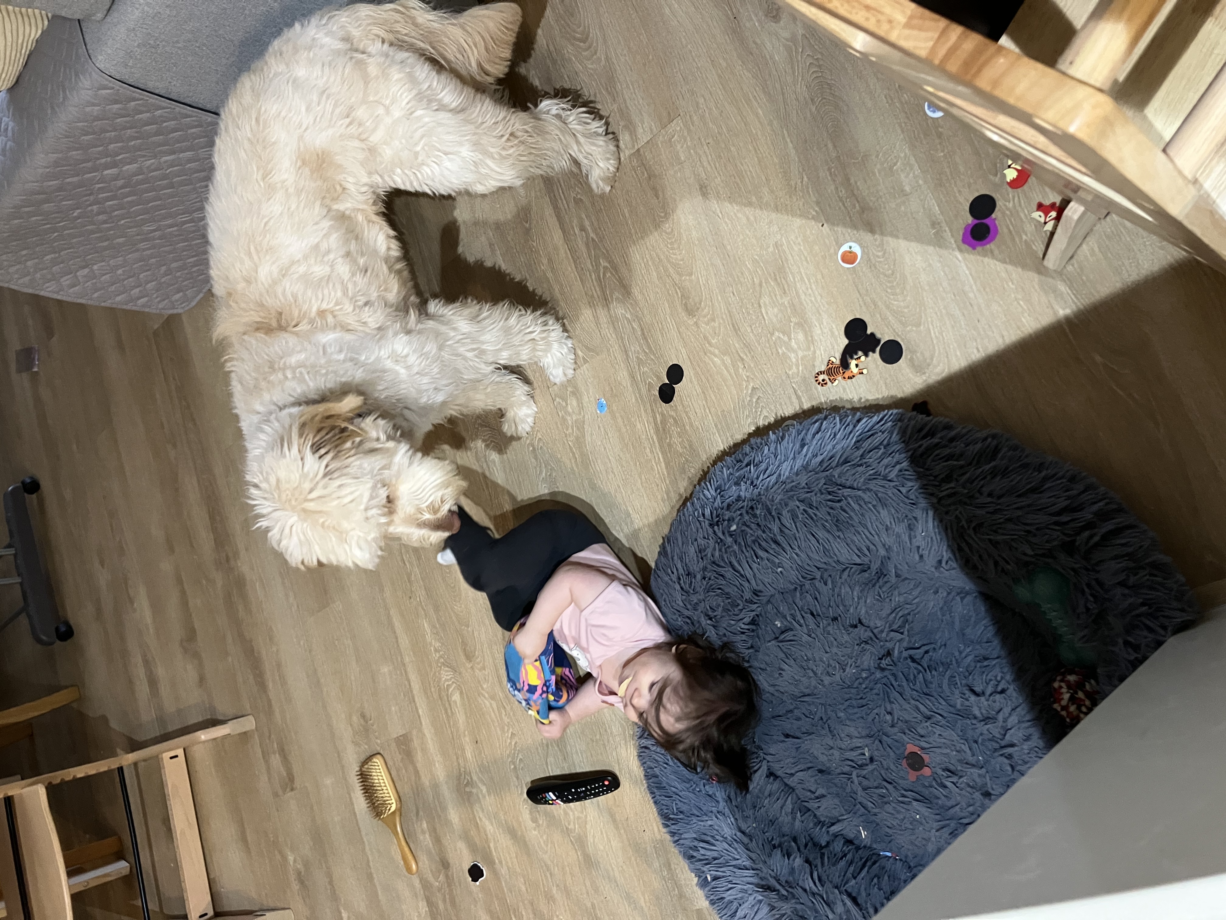 image-5