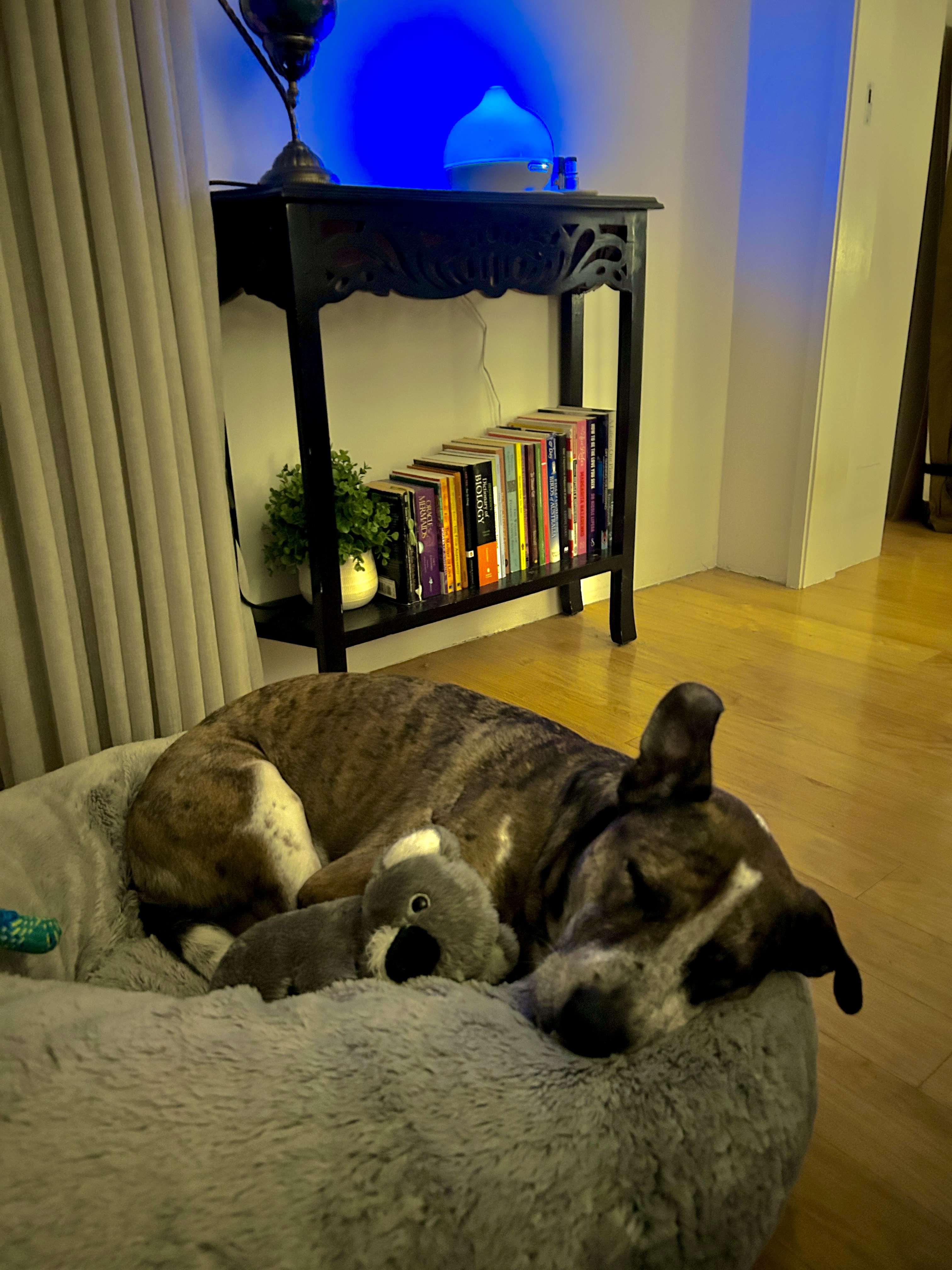 image-10
