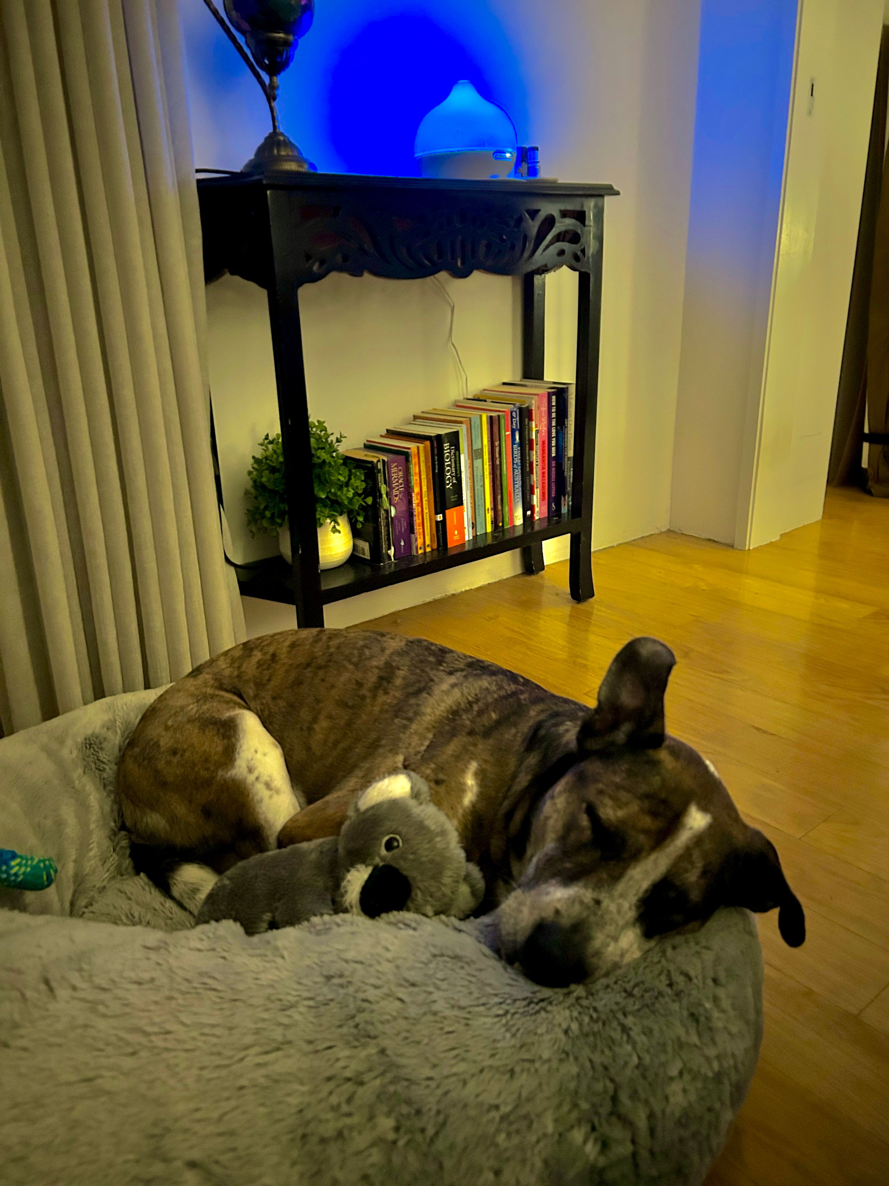 image-10