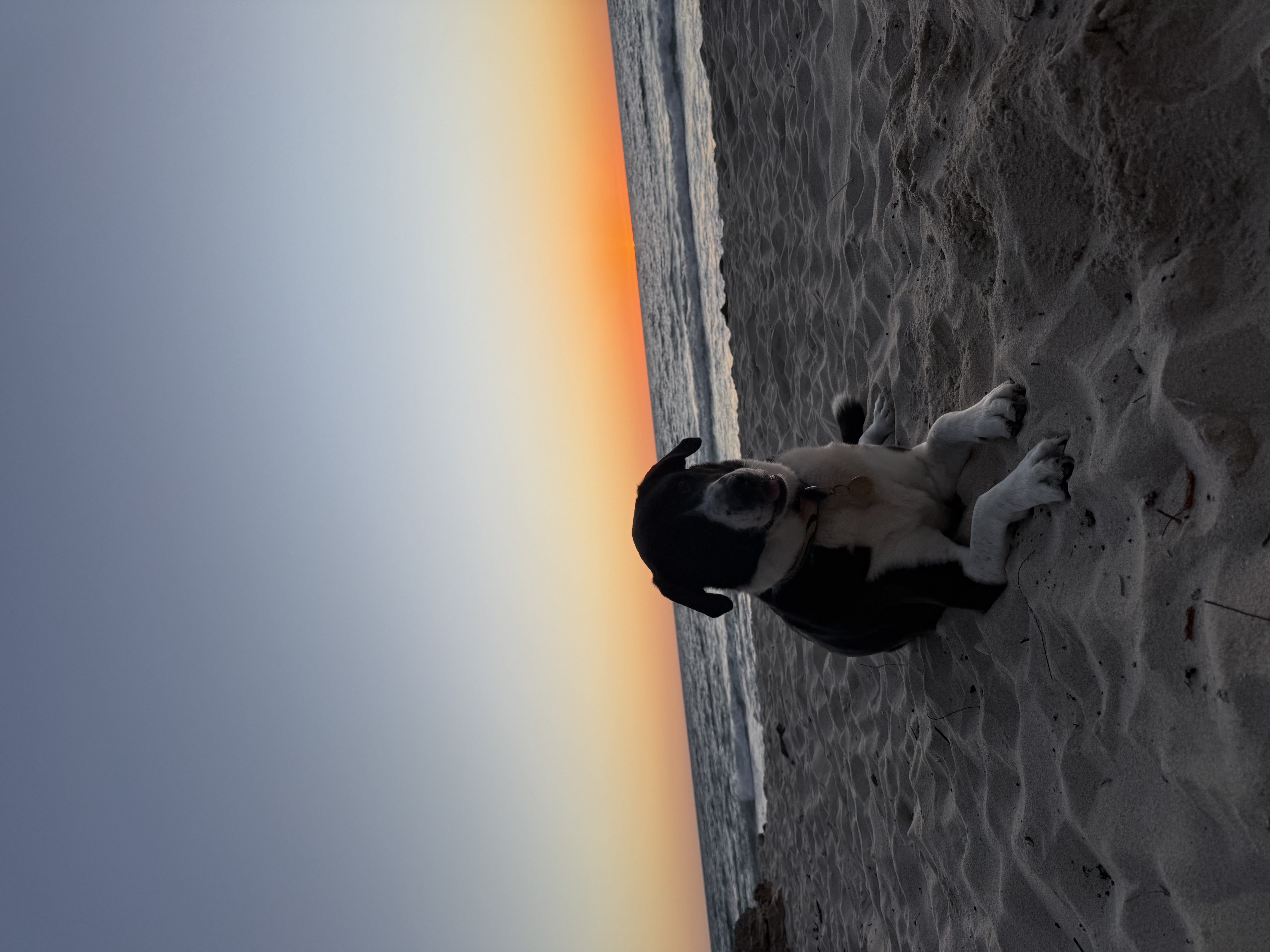 image-7