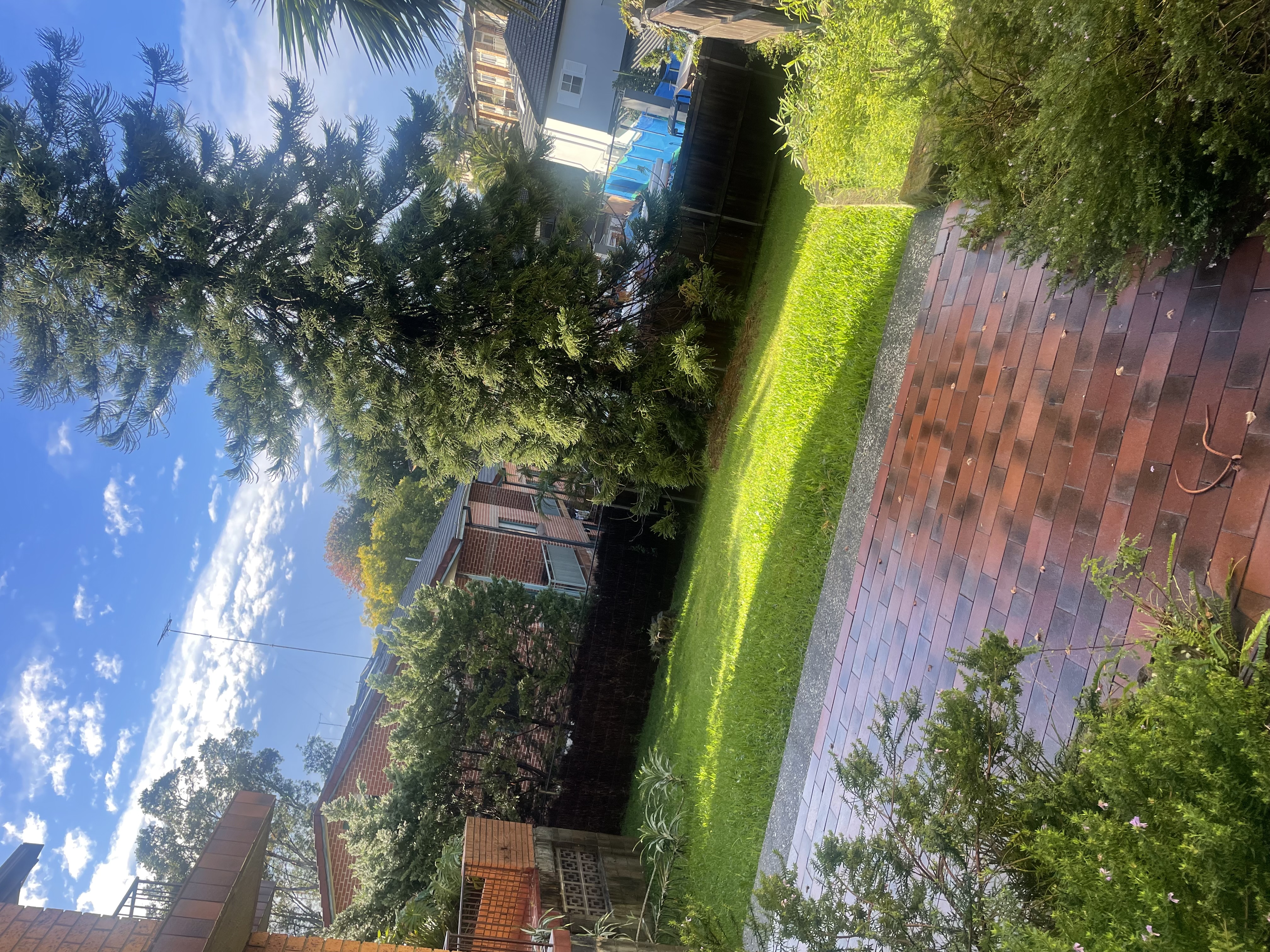 image-19
