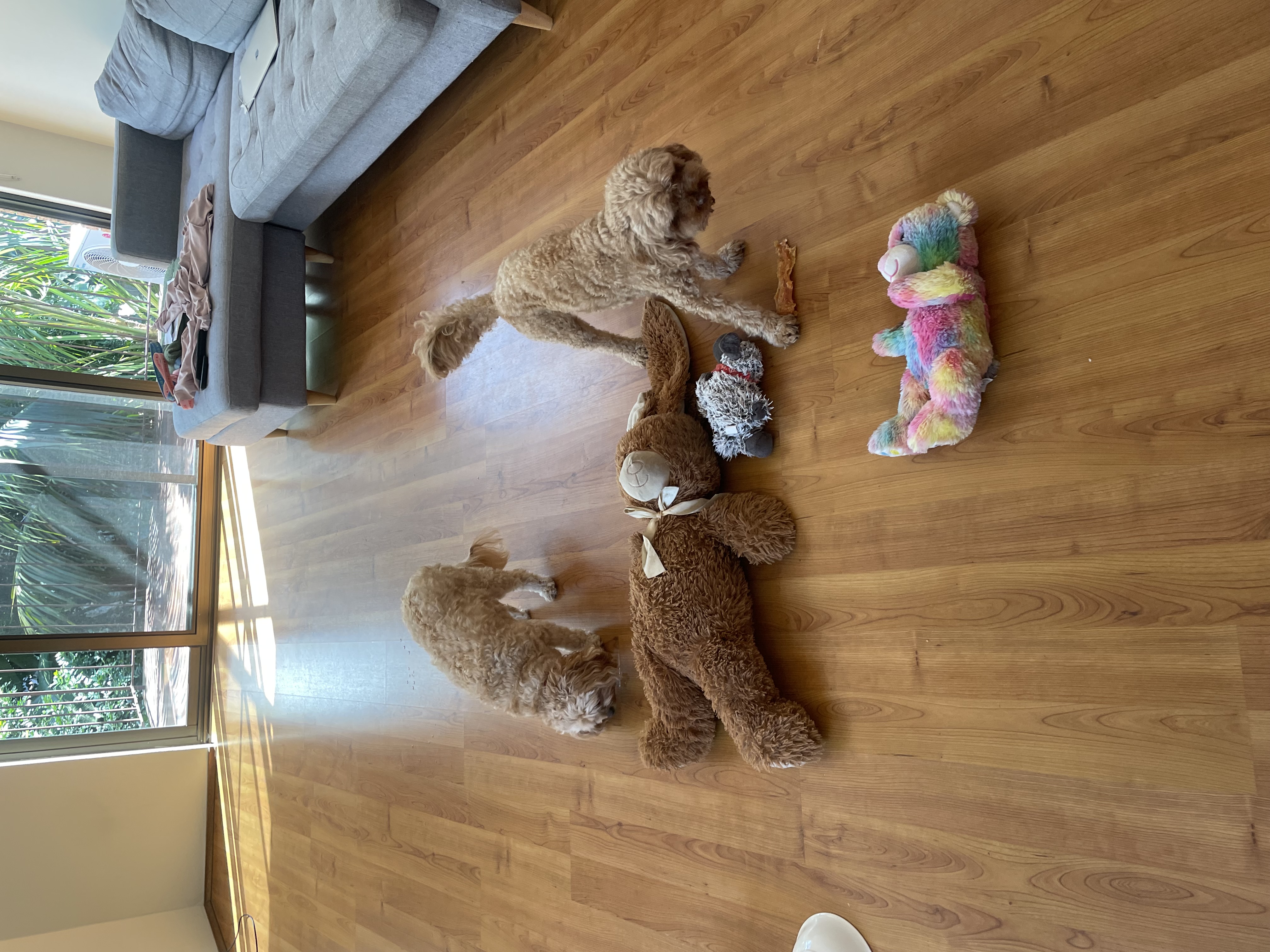 image-15
