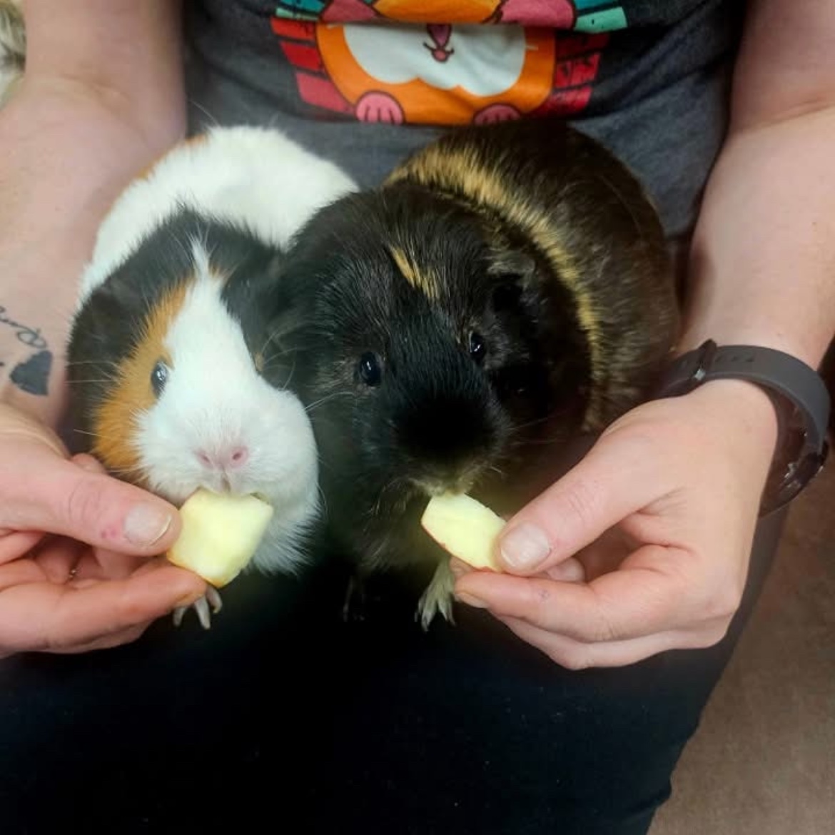 Coco and Pearl