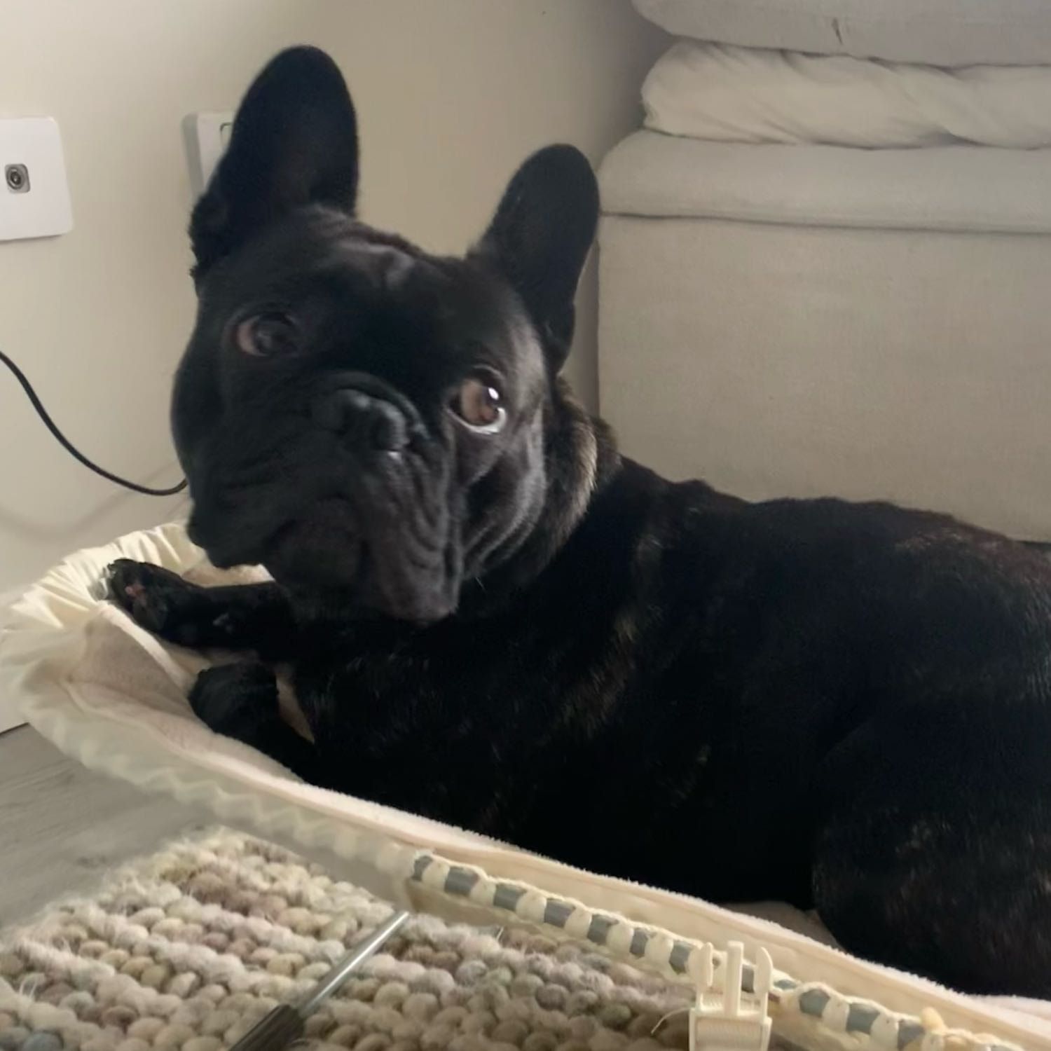 Winston