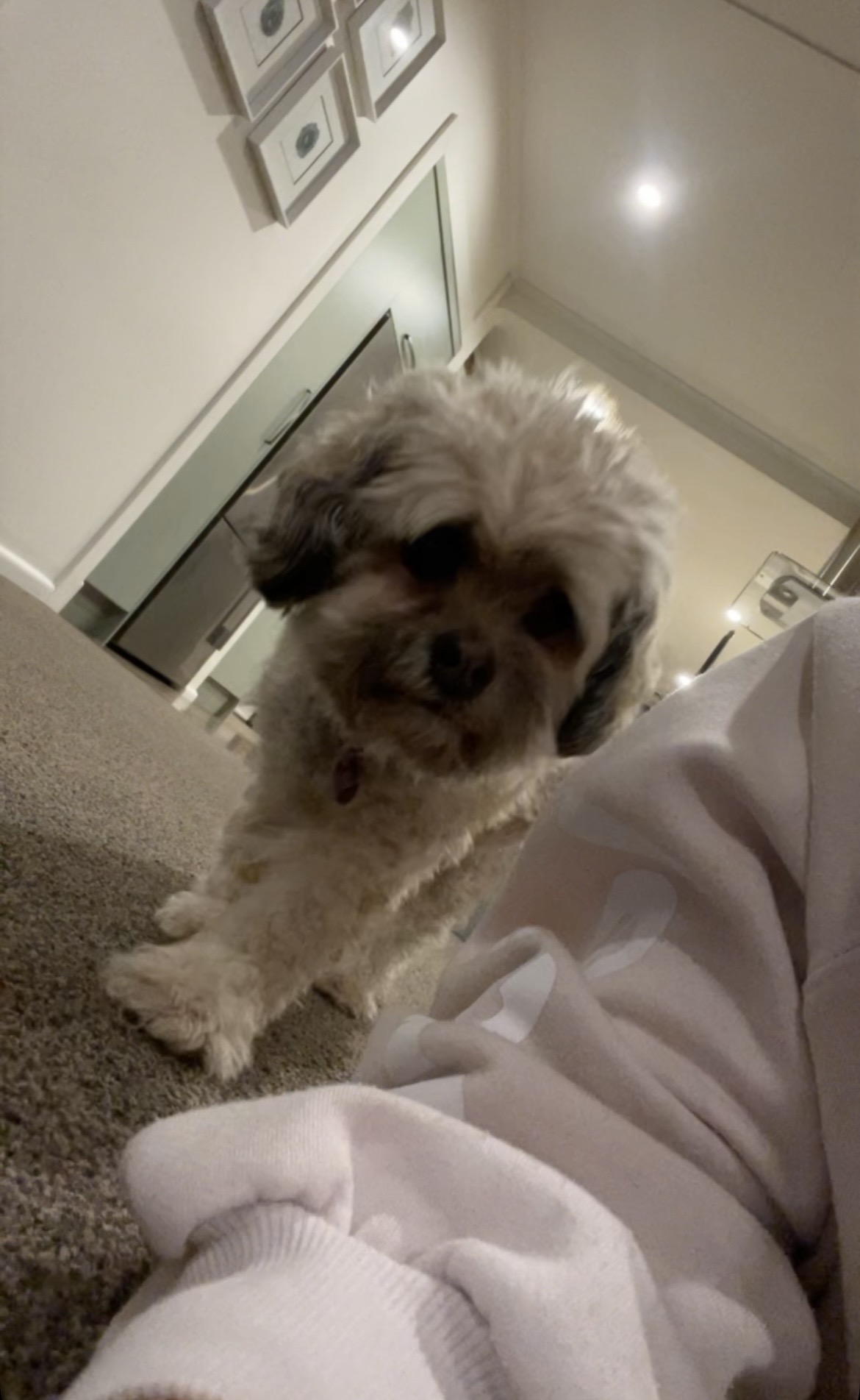 image-3