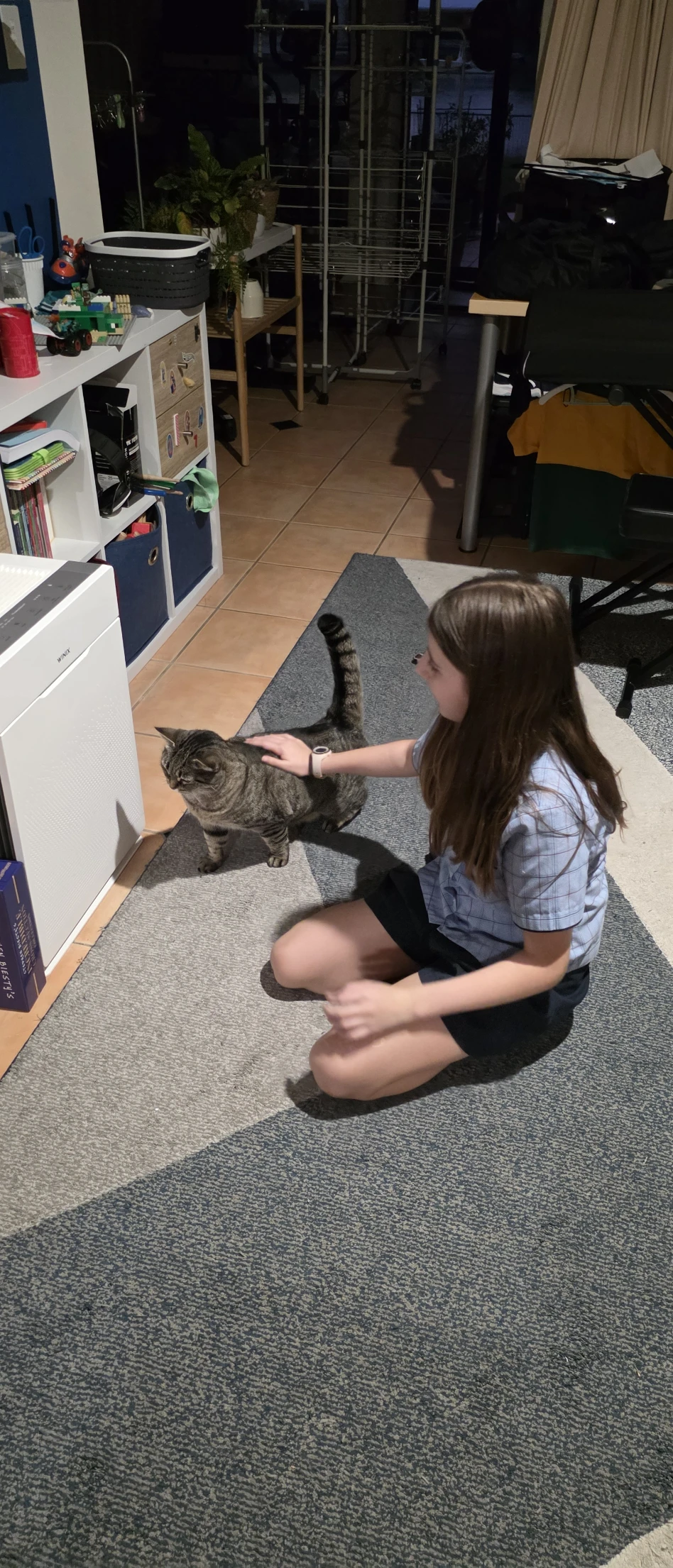 image-13