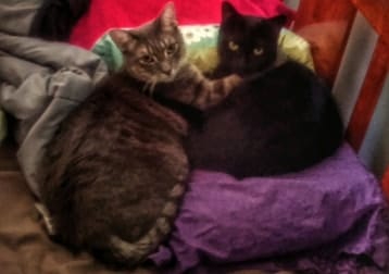 Beau And Bella