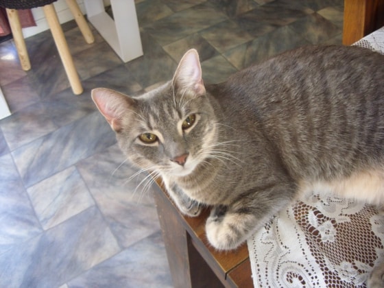 image-4