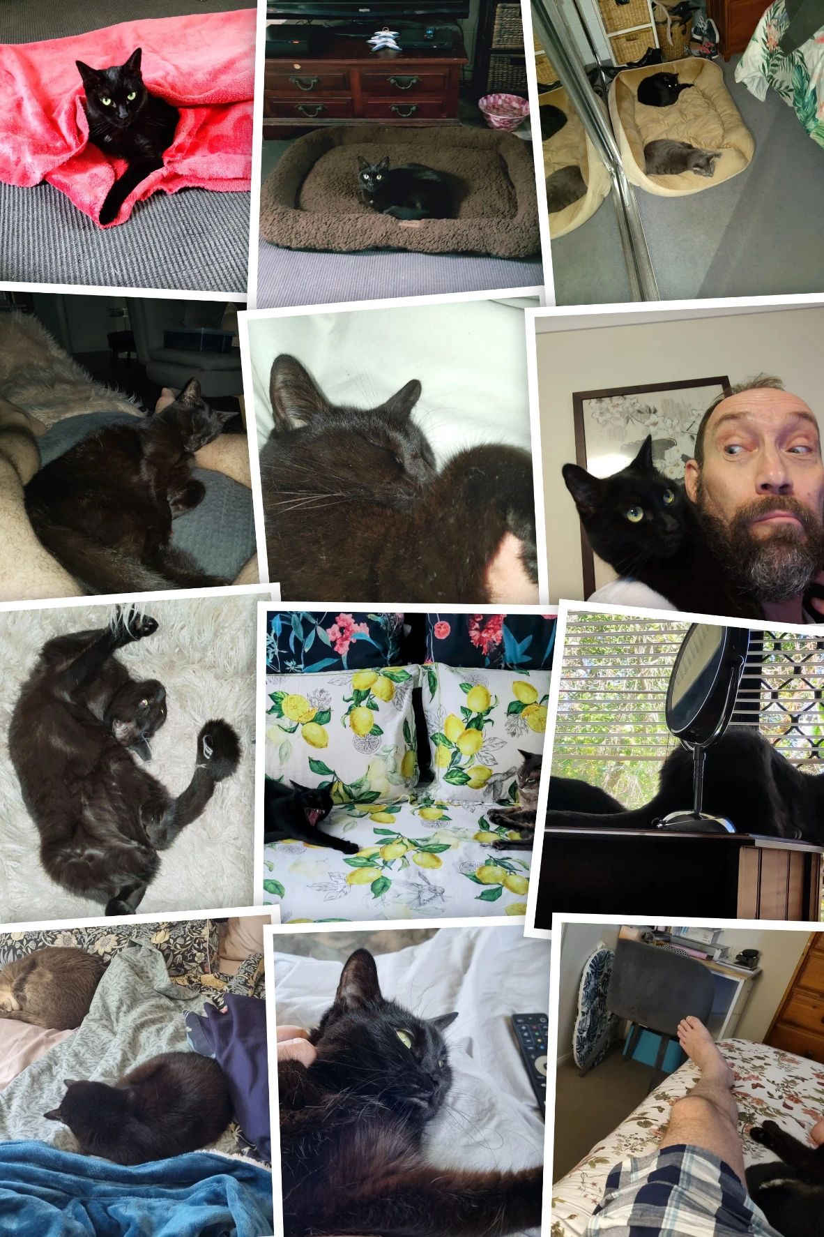 image-10