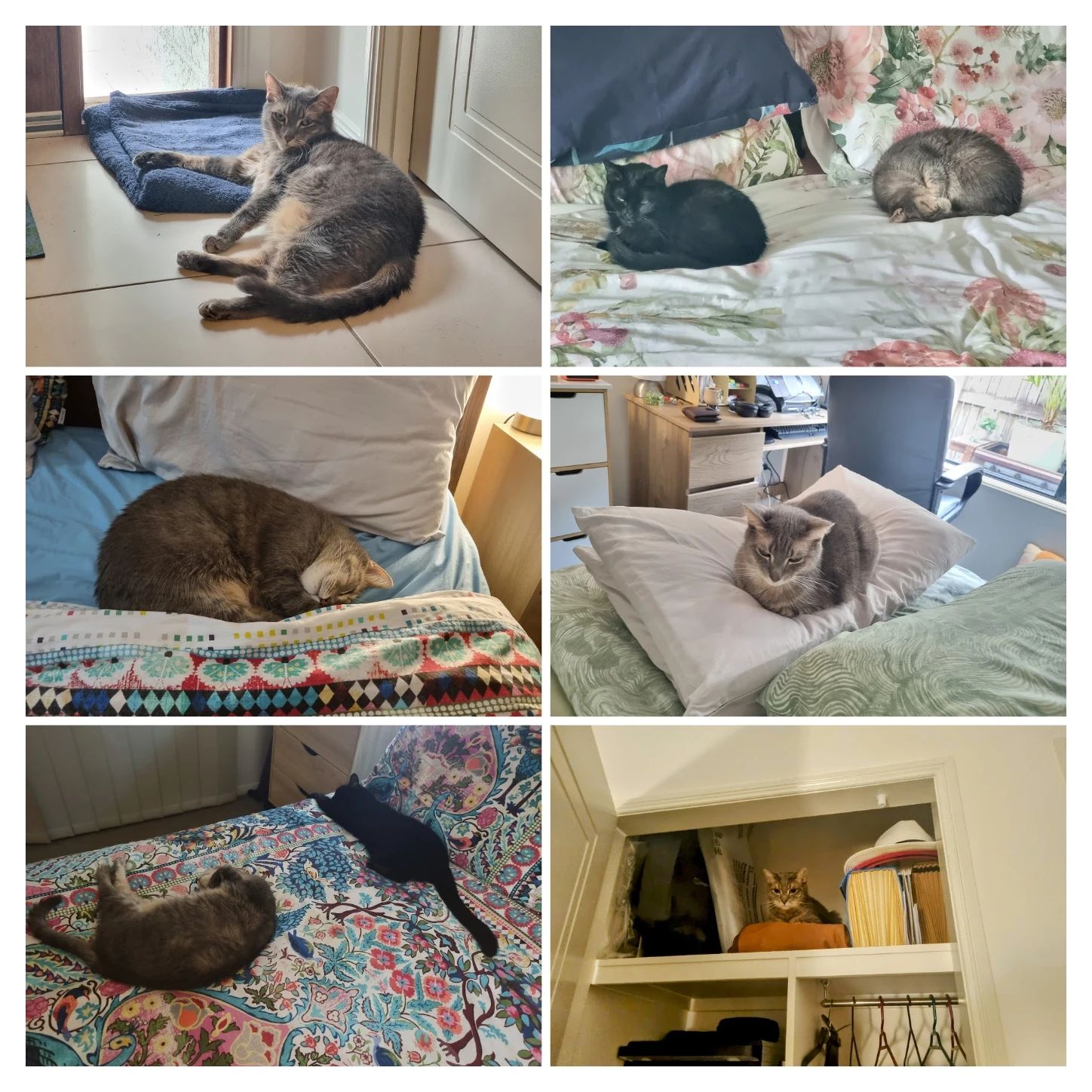 image-13