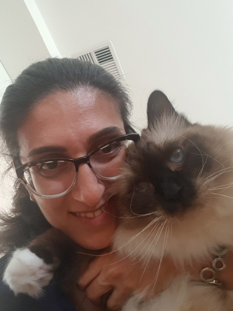 image-8