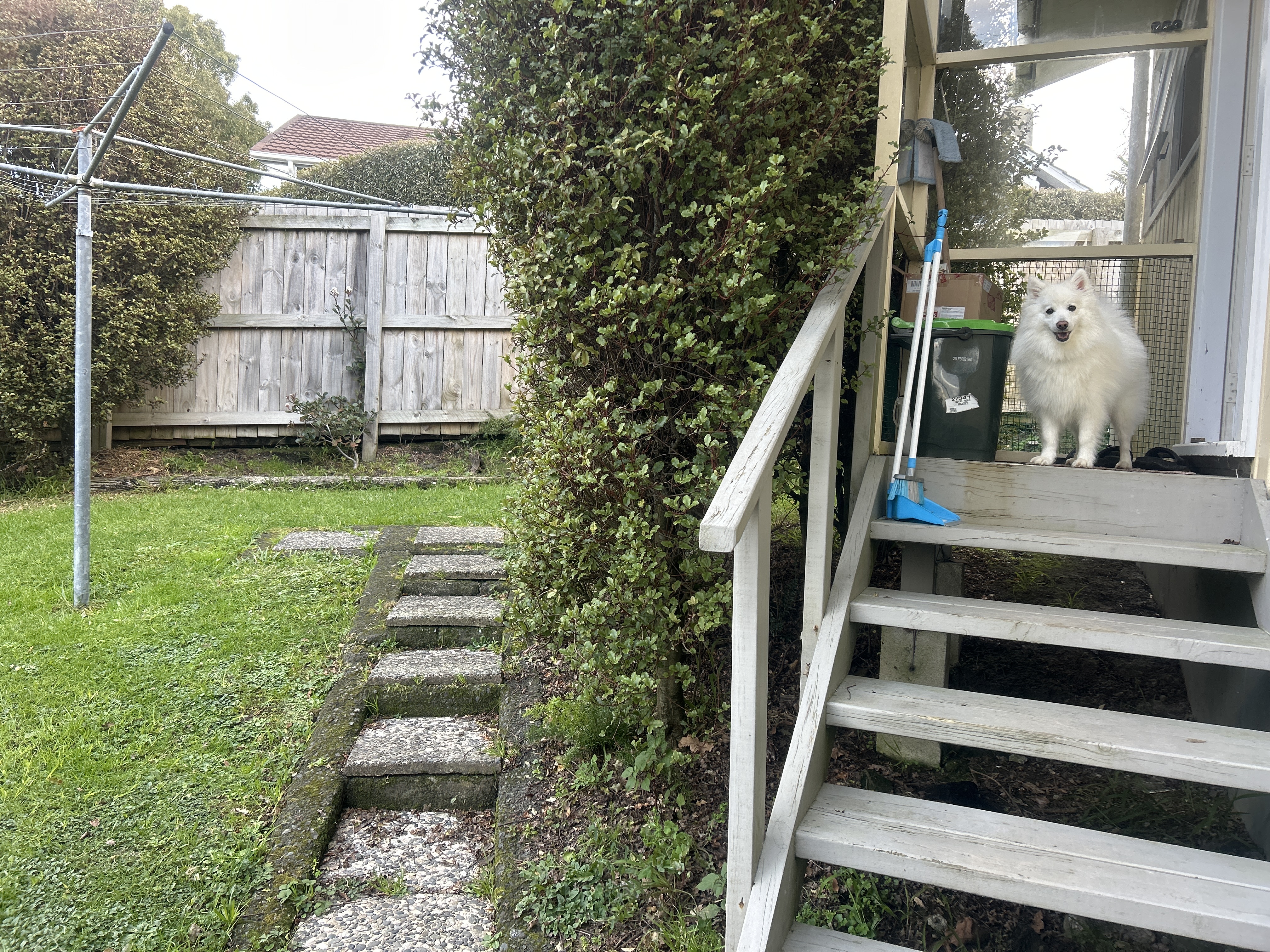 image-9