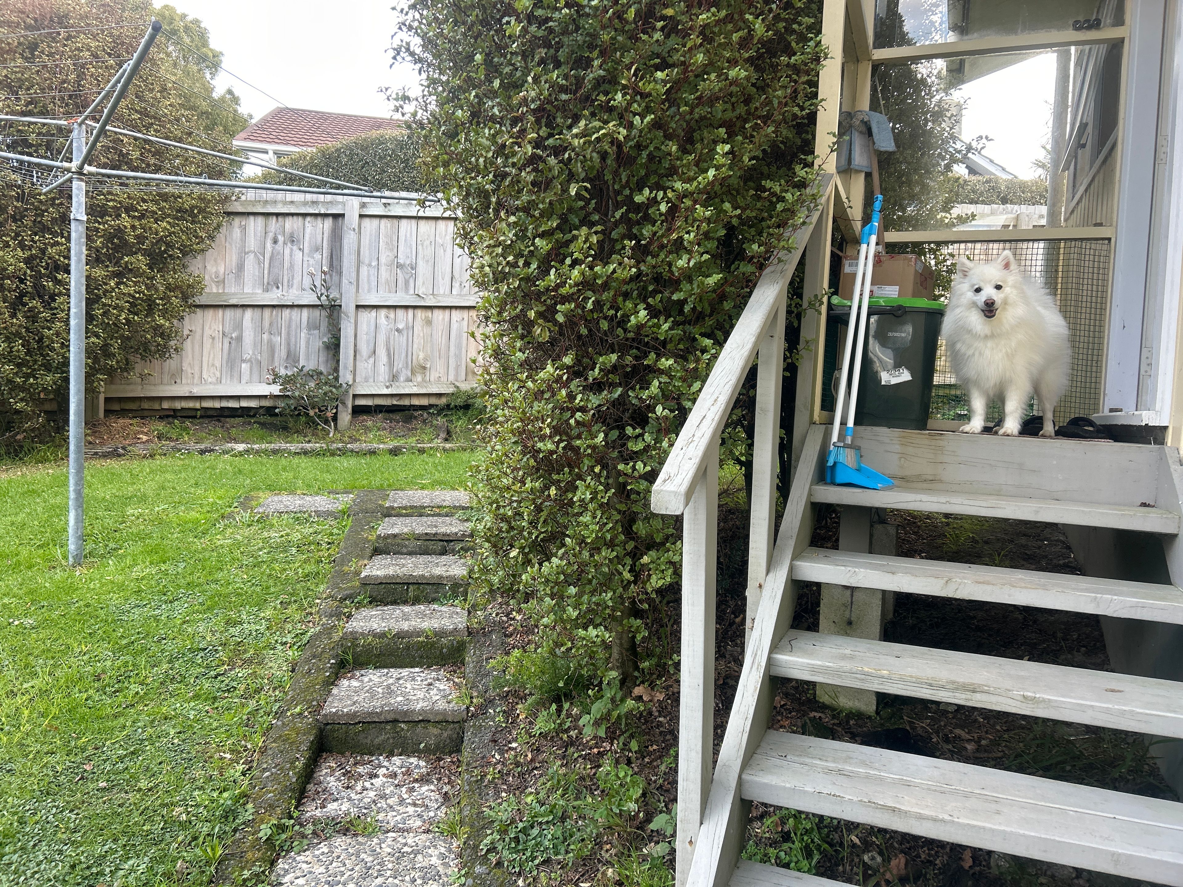 image-9