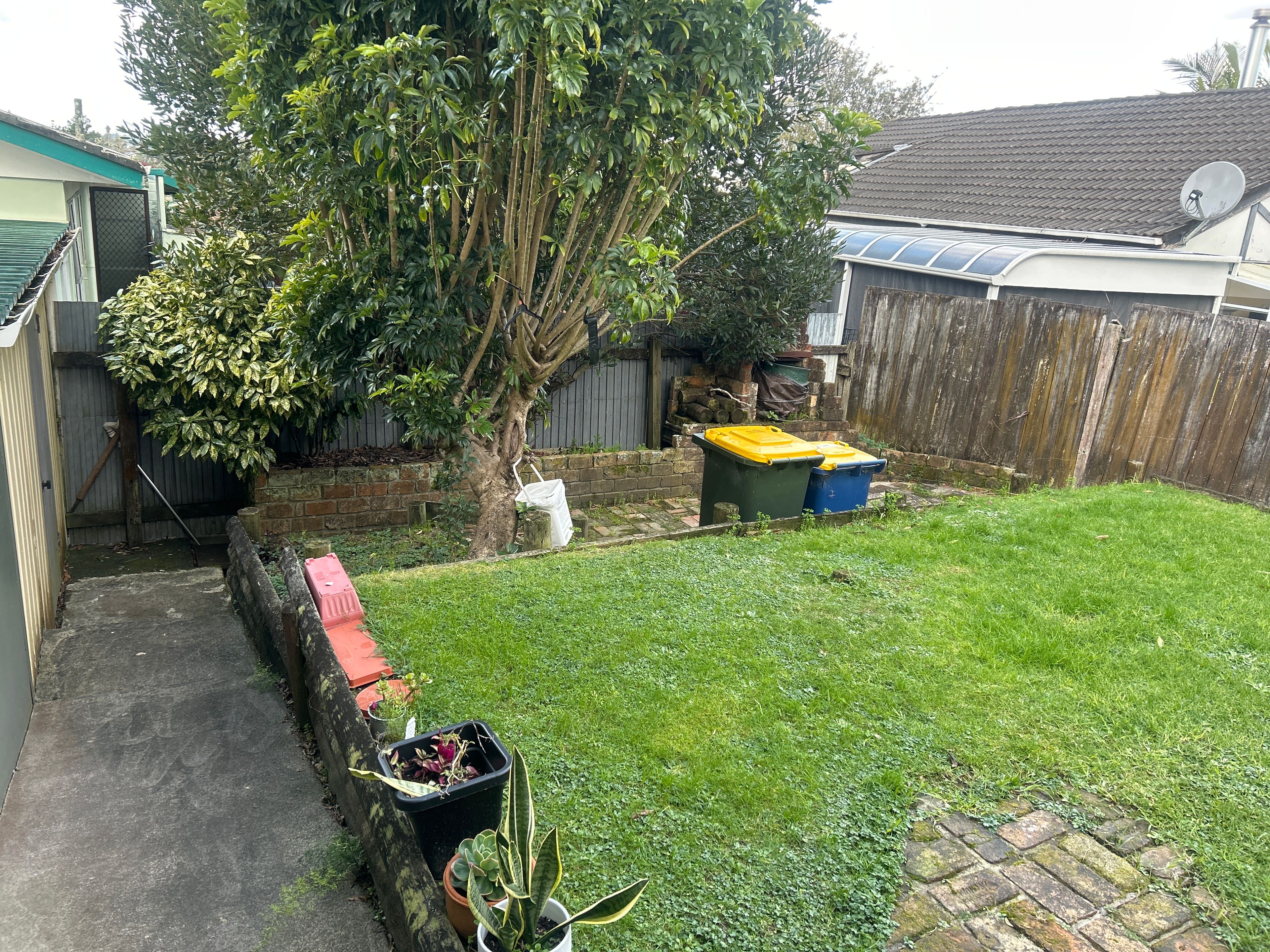 image-7