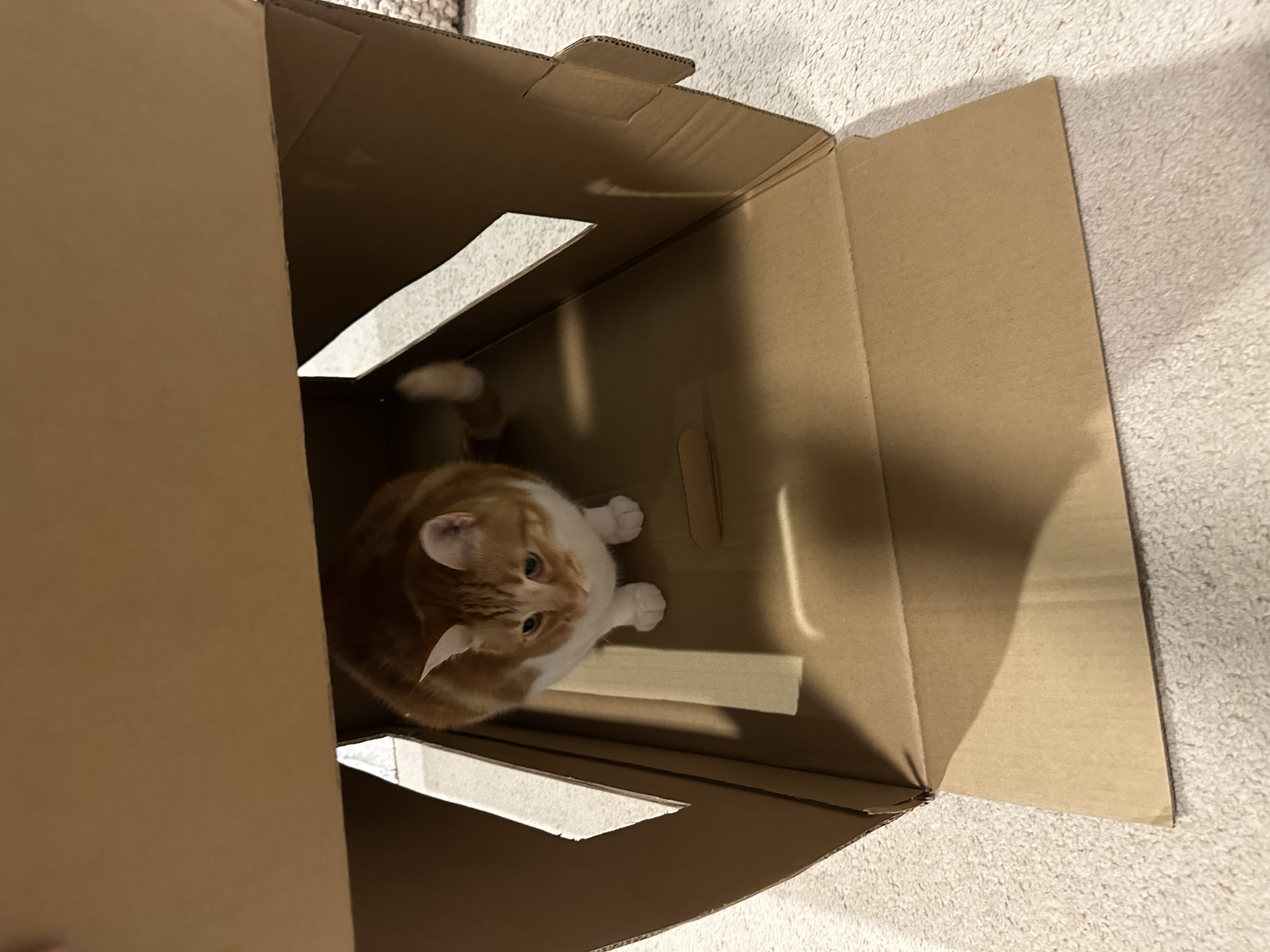 image-12