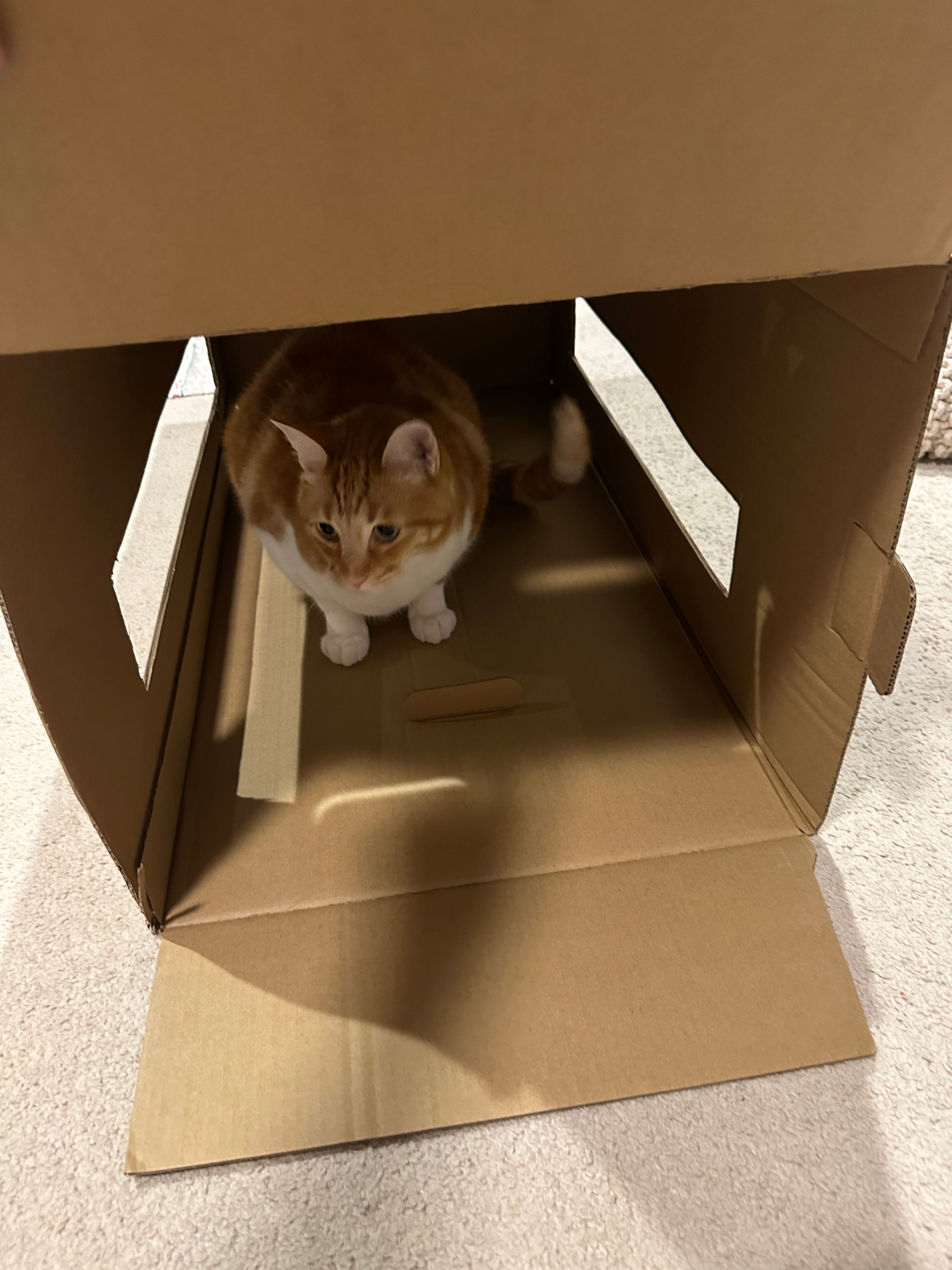 image-12