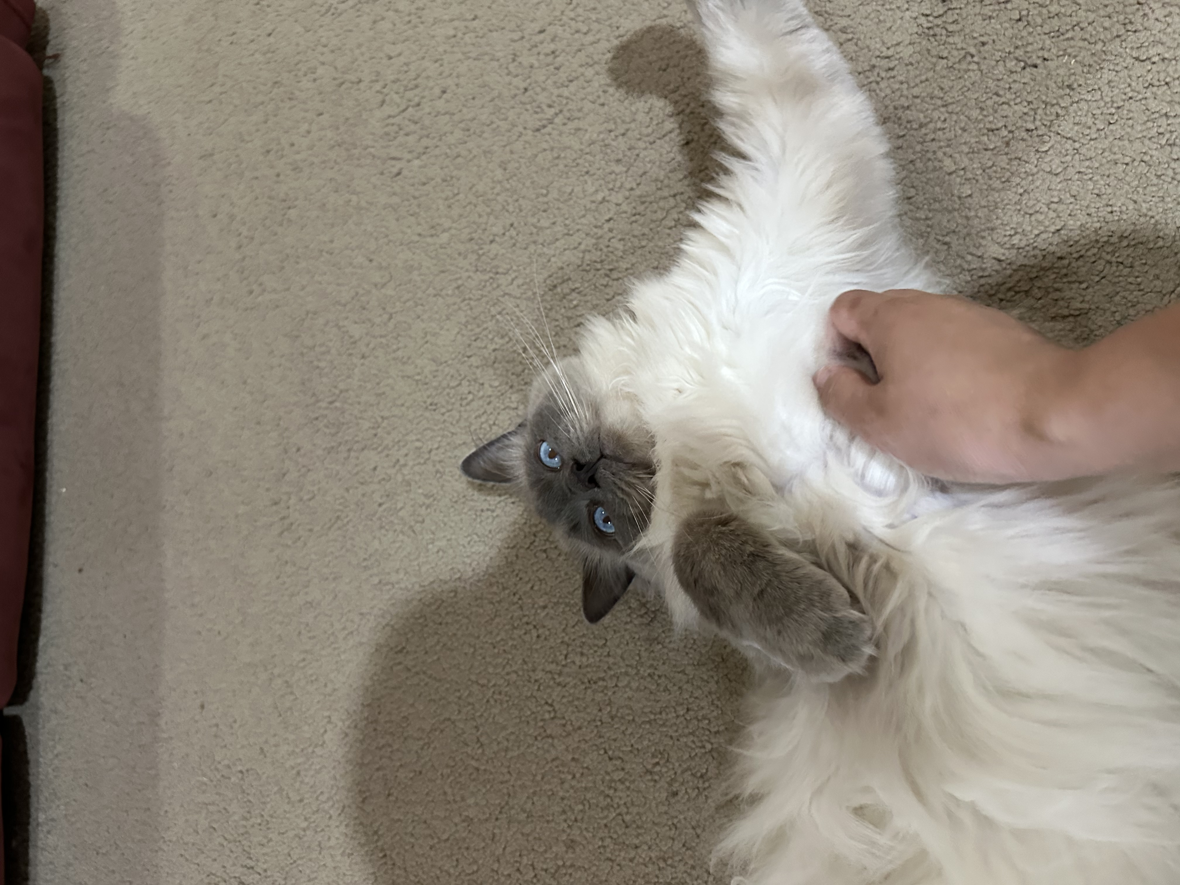 image-8