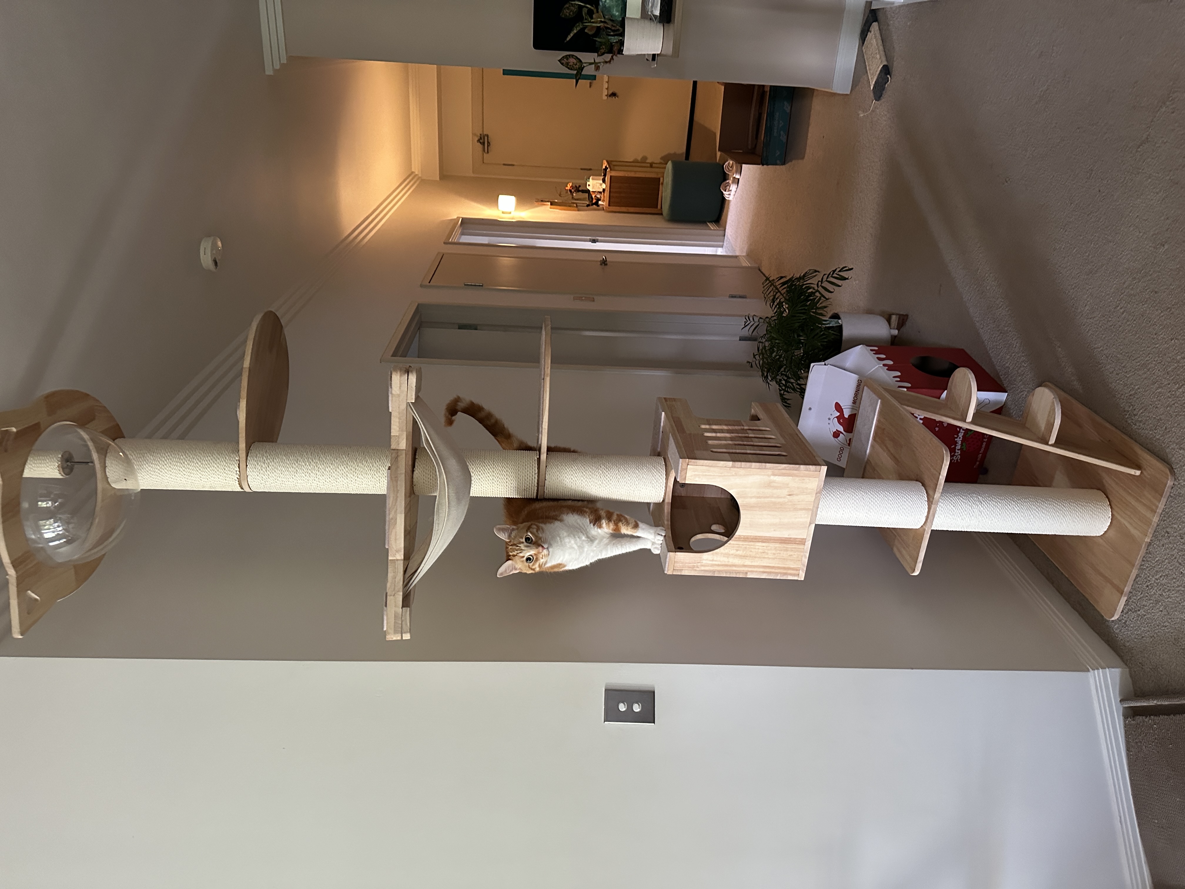 image-13