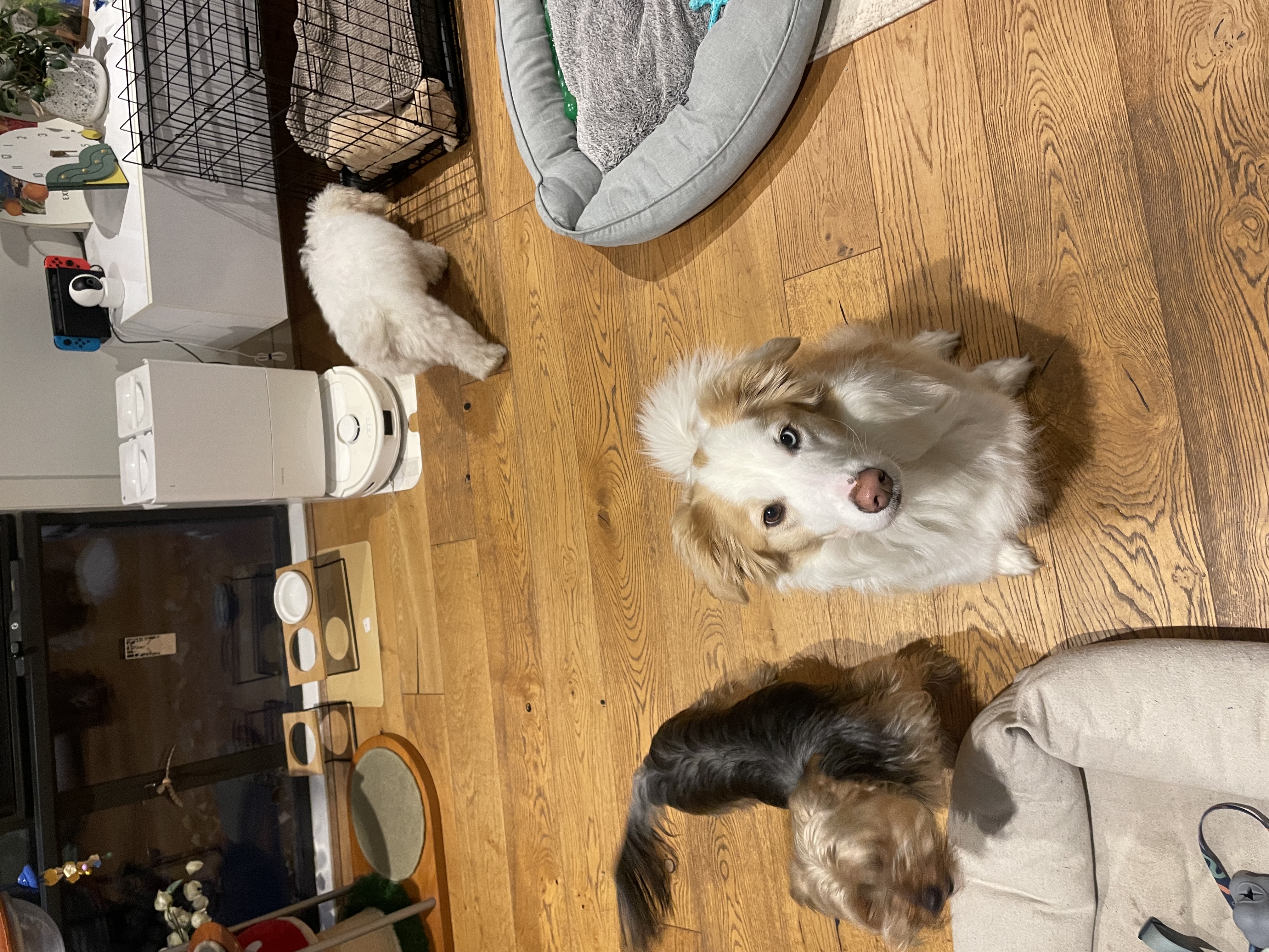 image-16