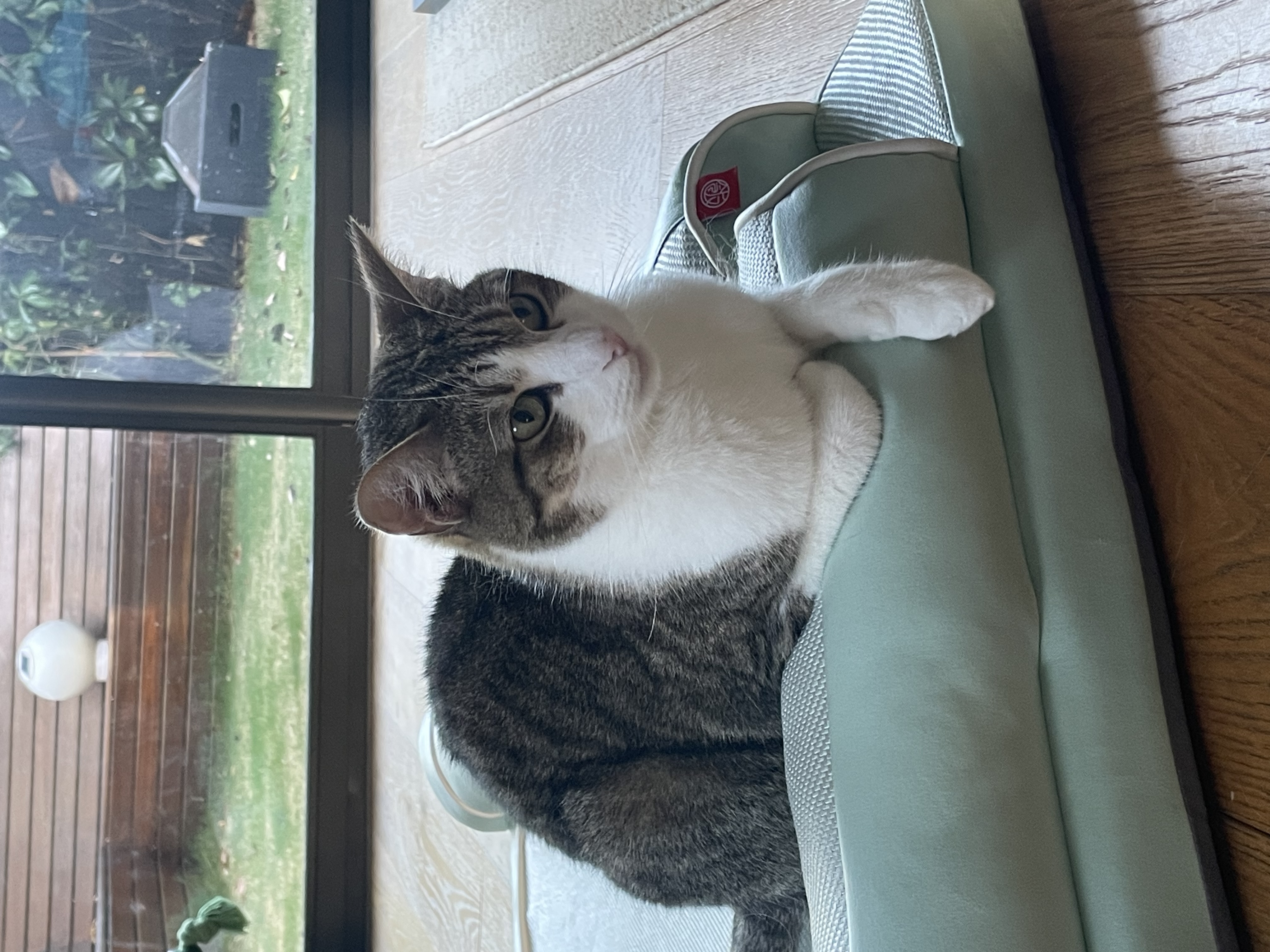 image-12
