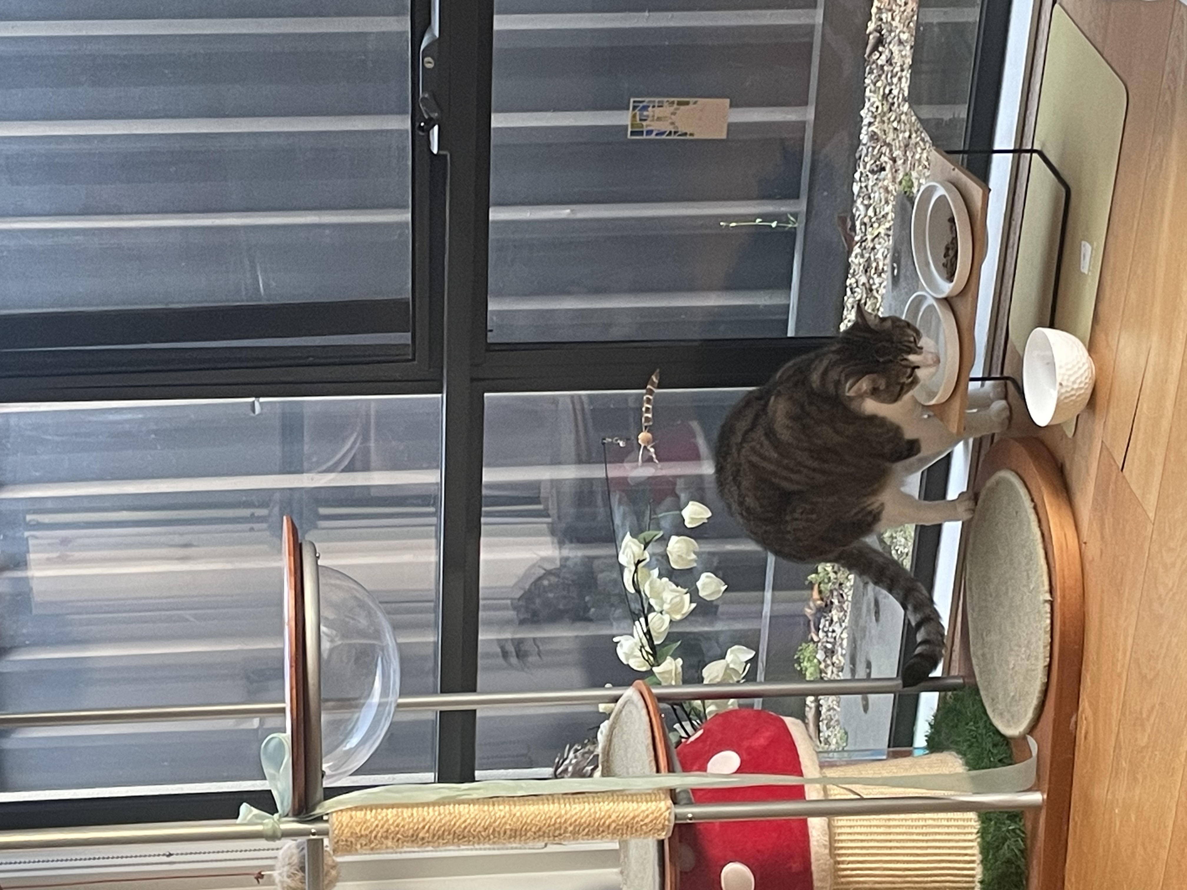 image-11