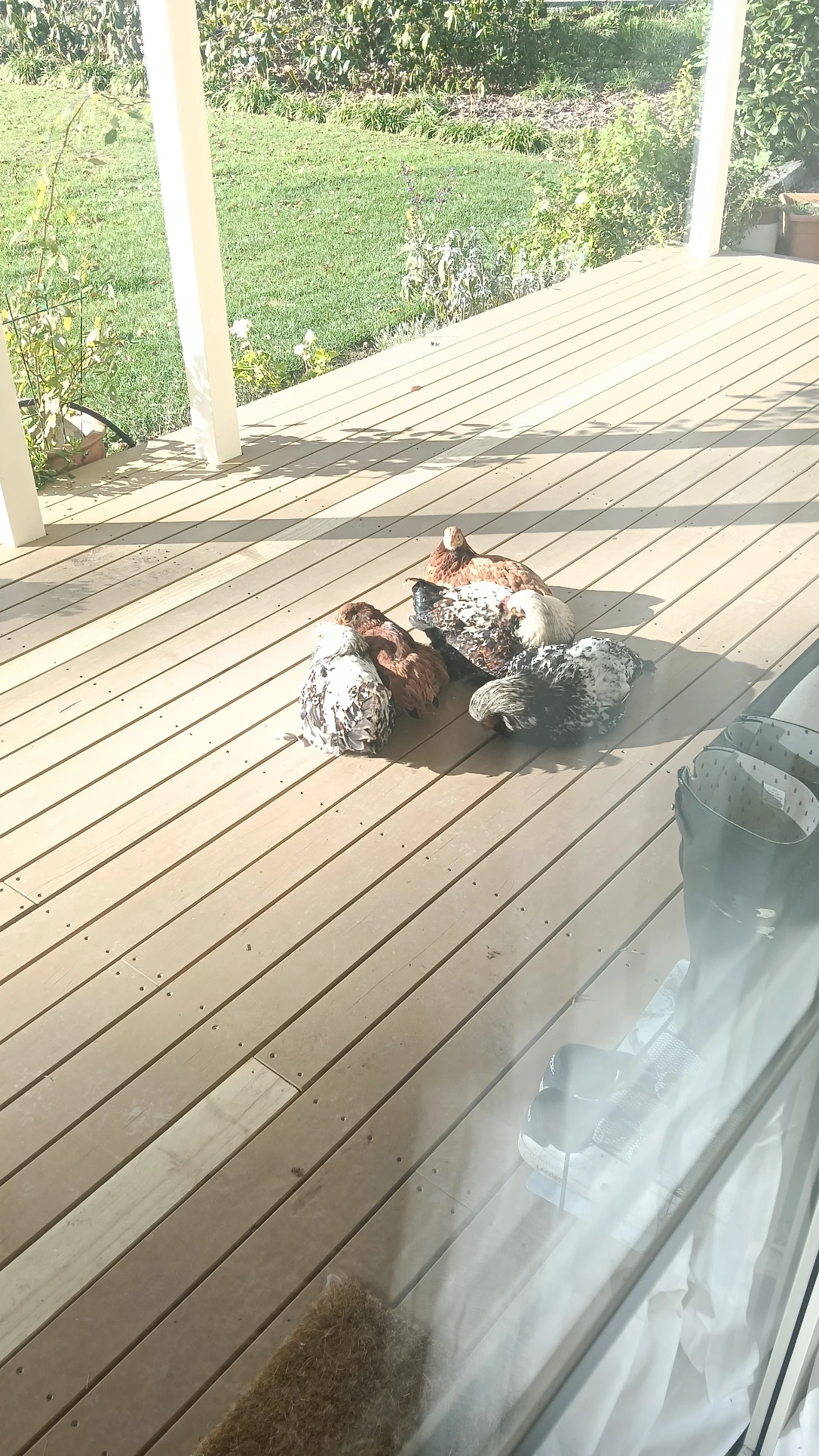 image-12