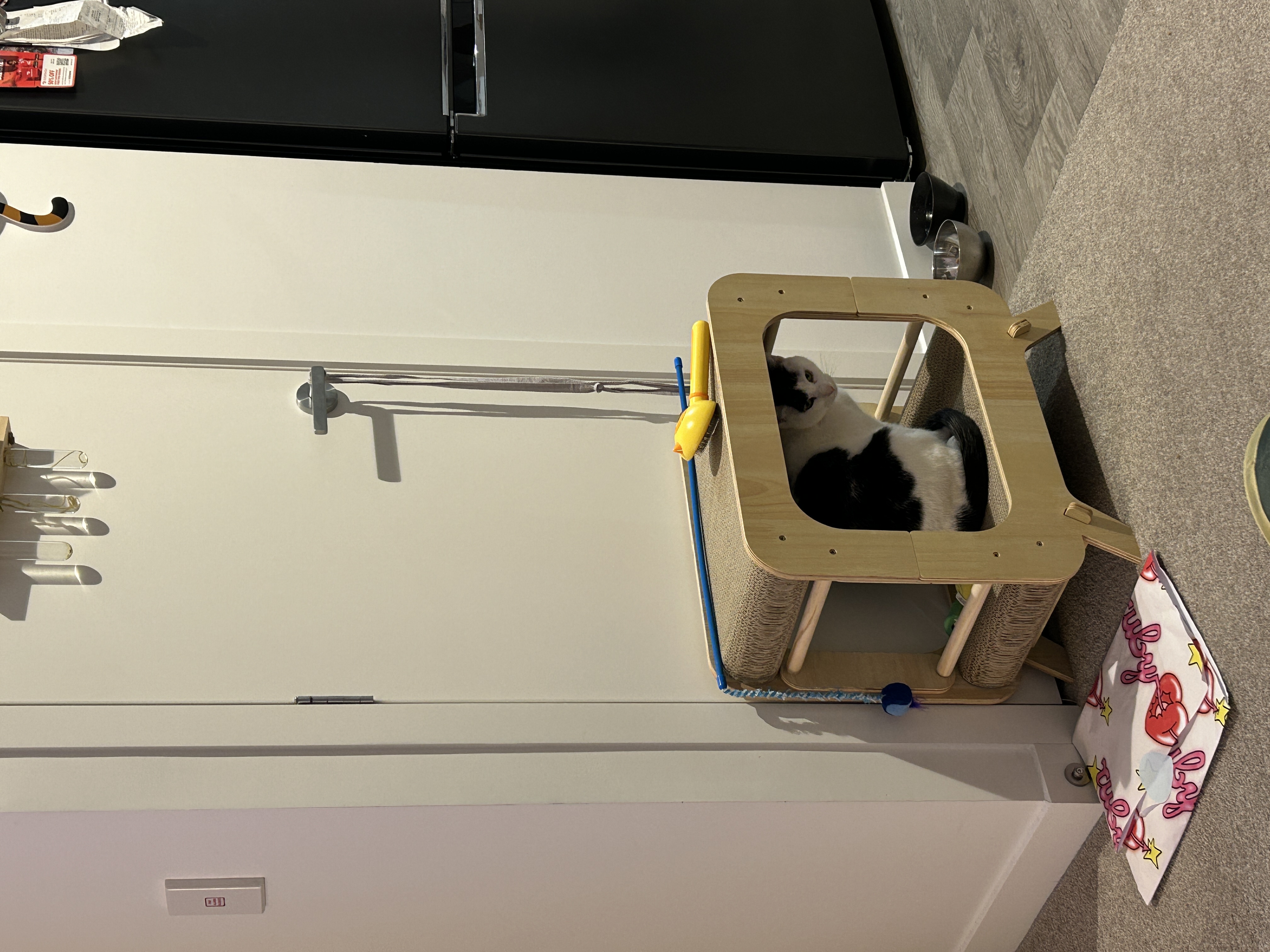 image-11