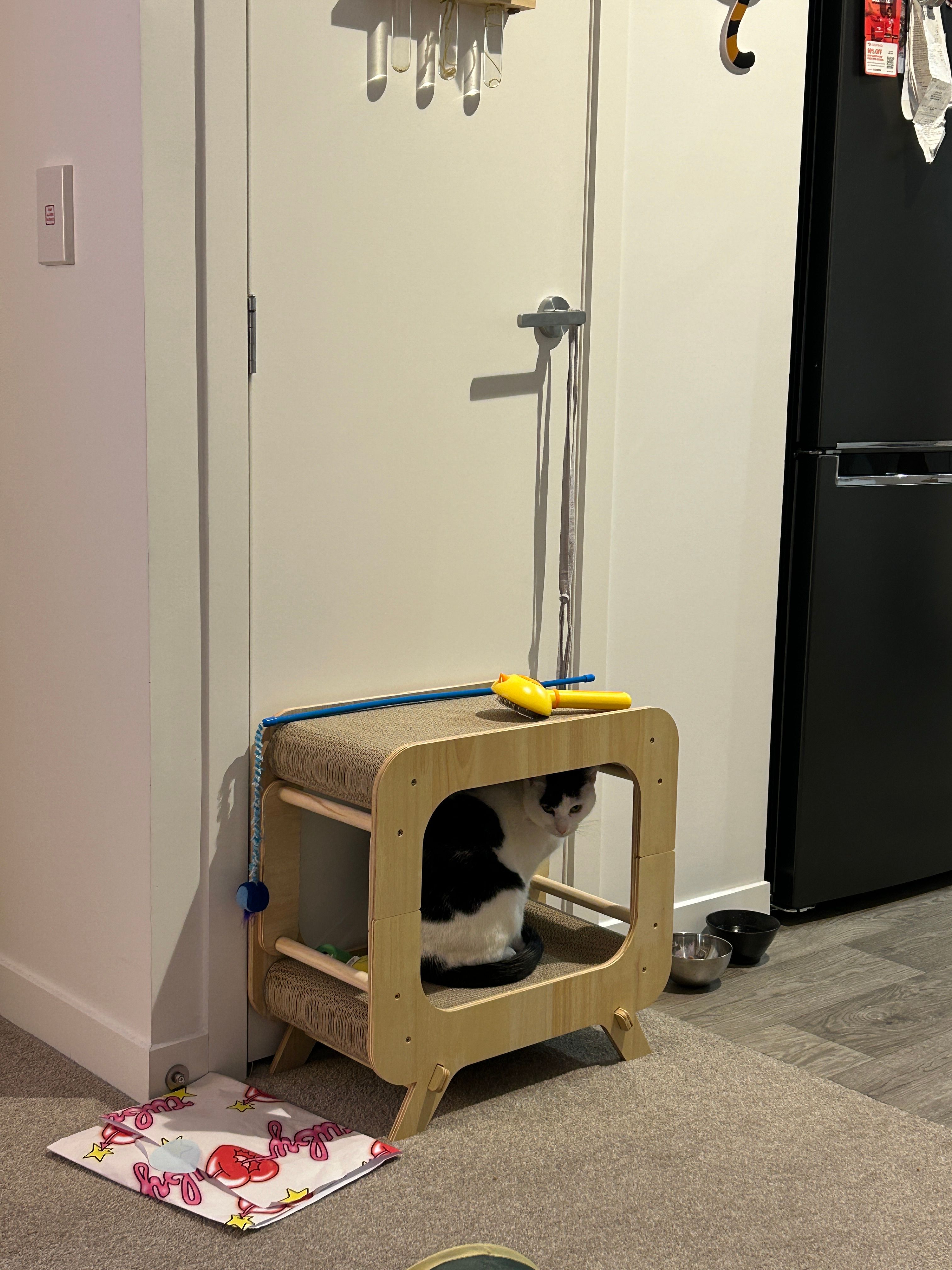 image-11