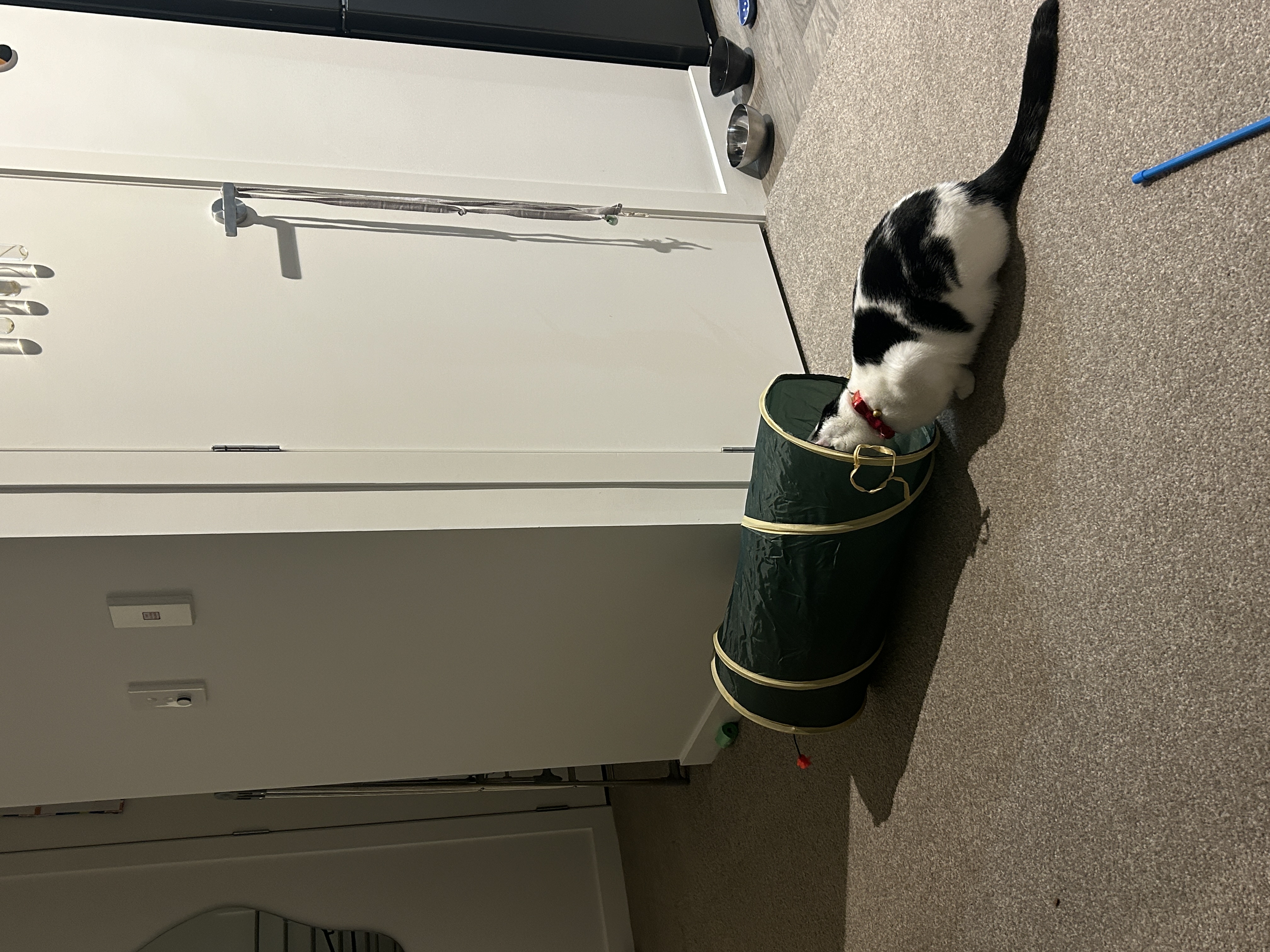 image-10