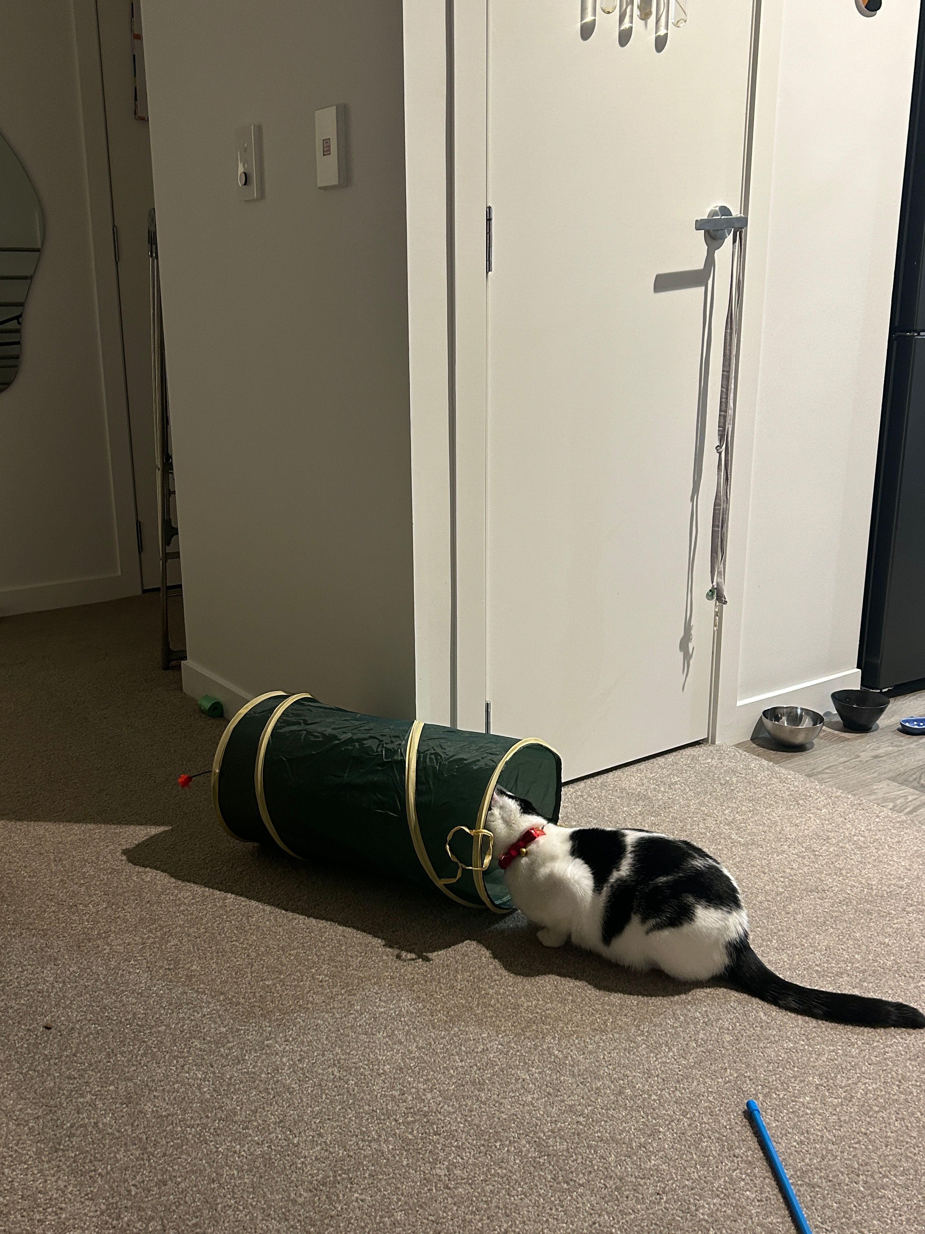image-10