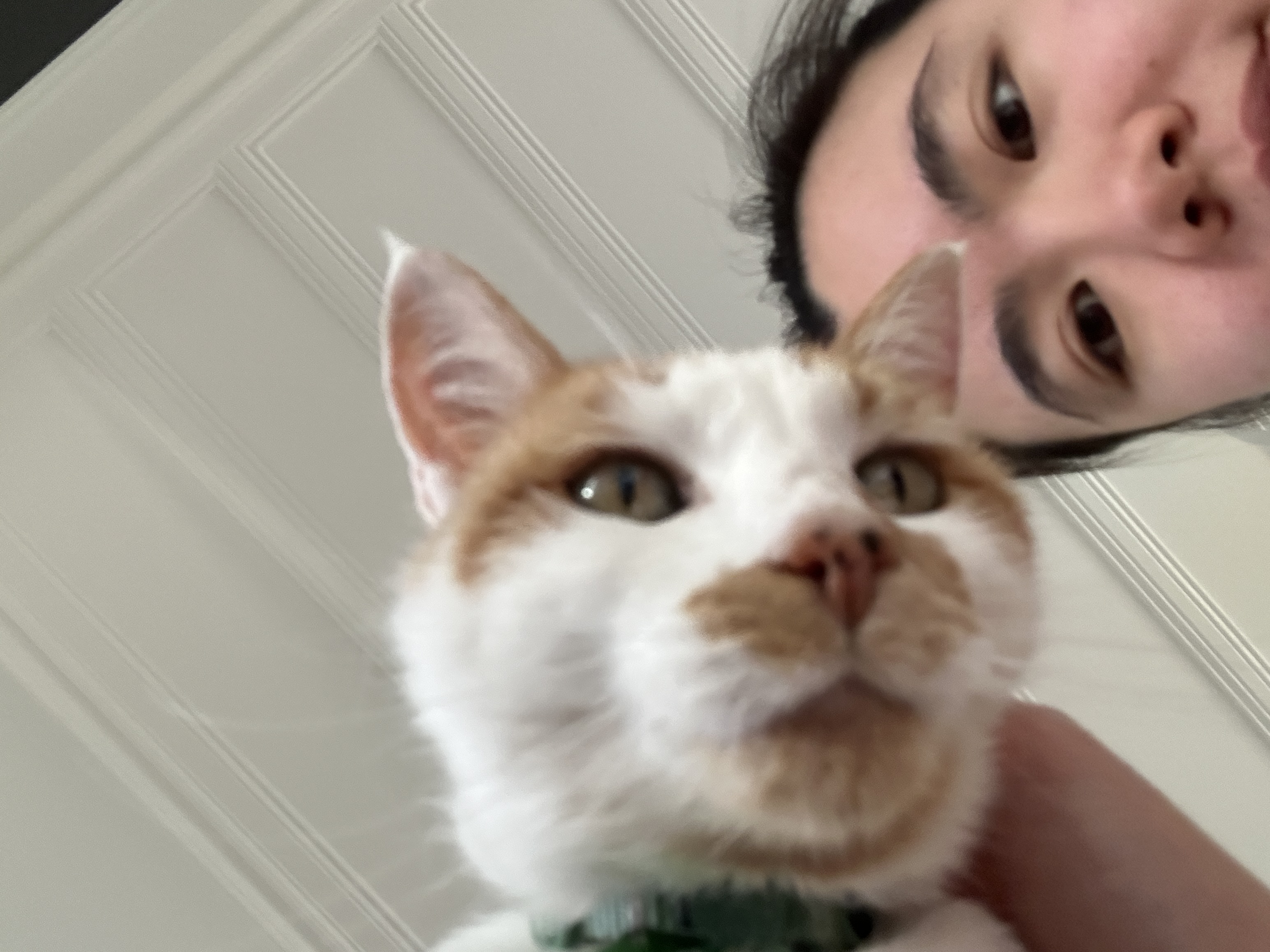image-8