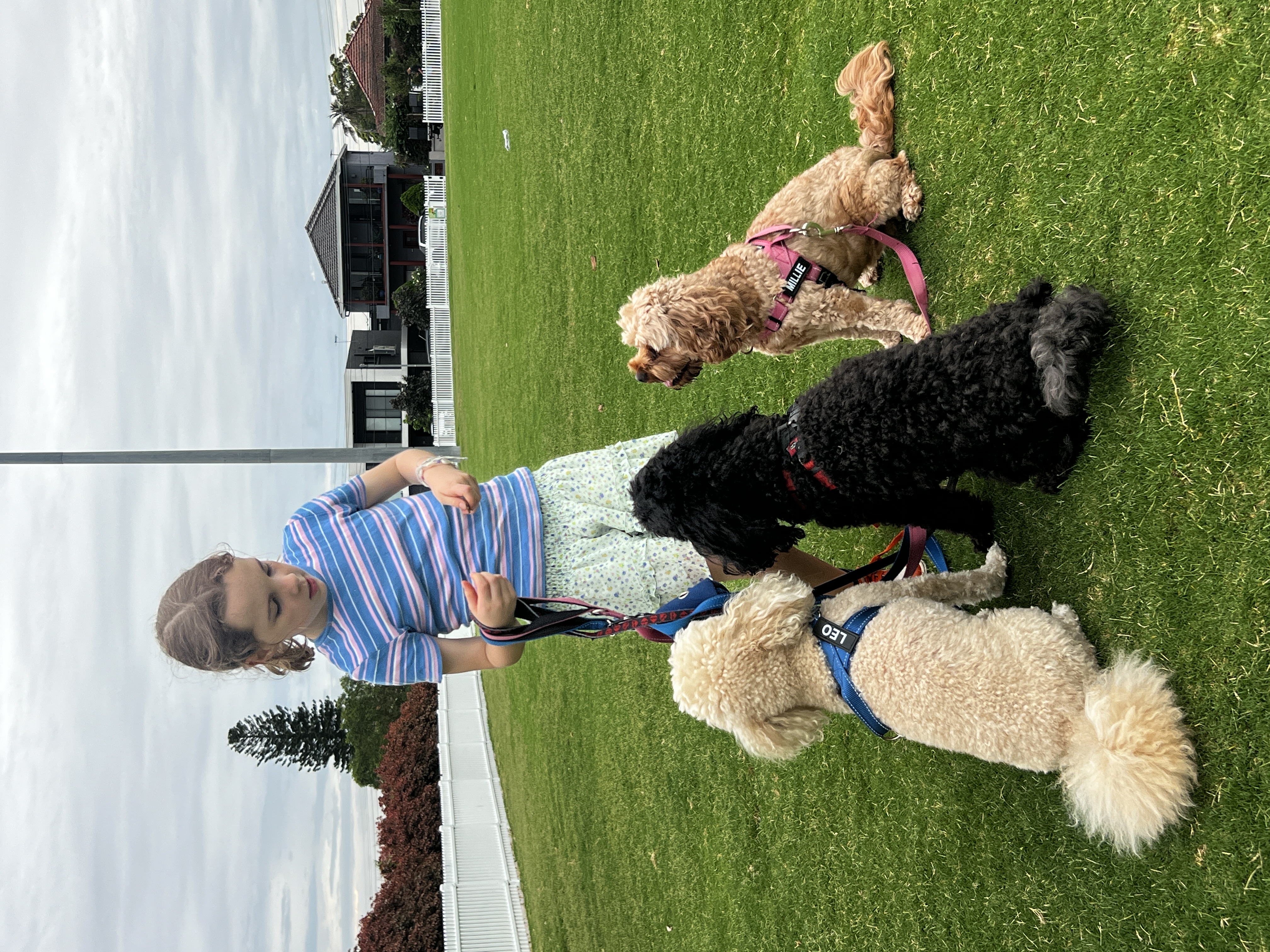 image-3