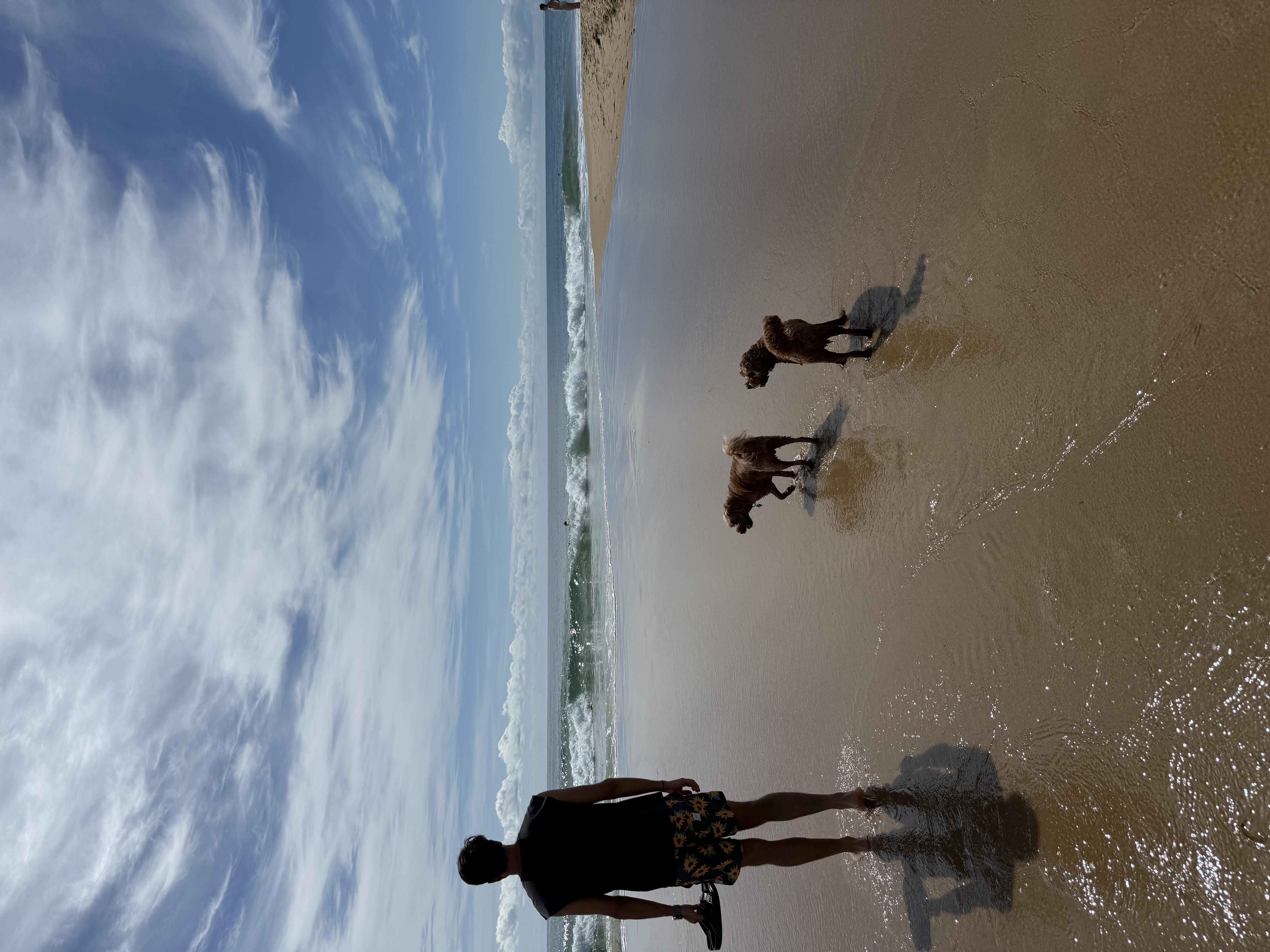 image-17