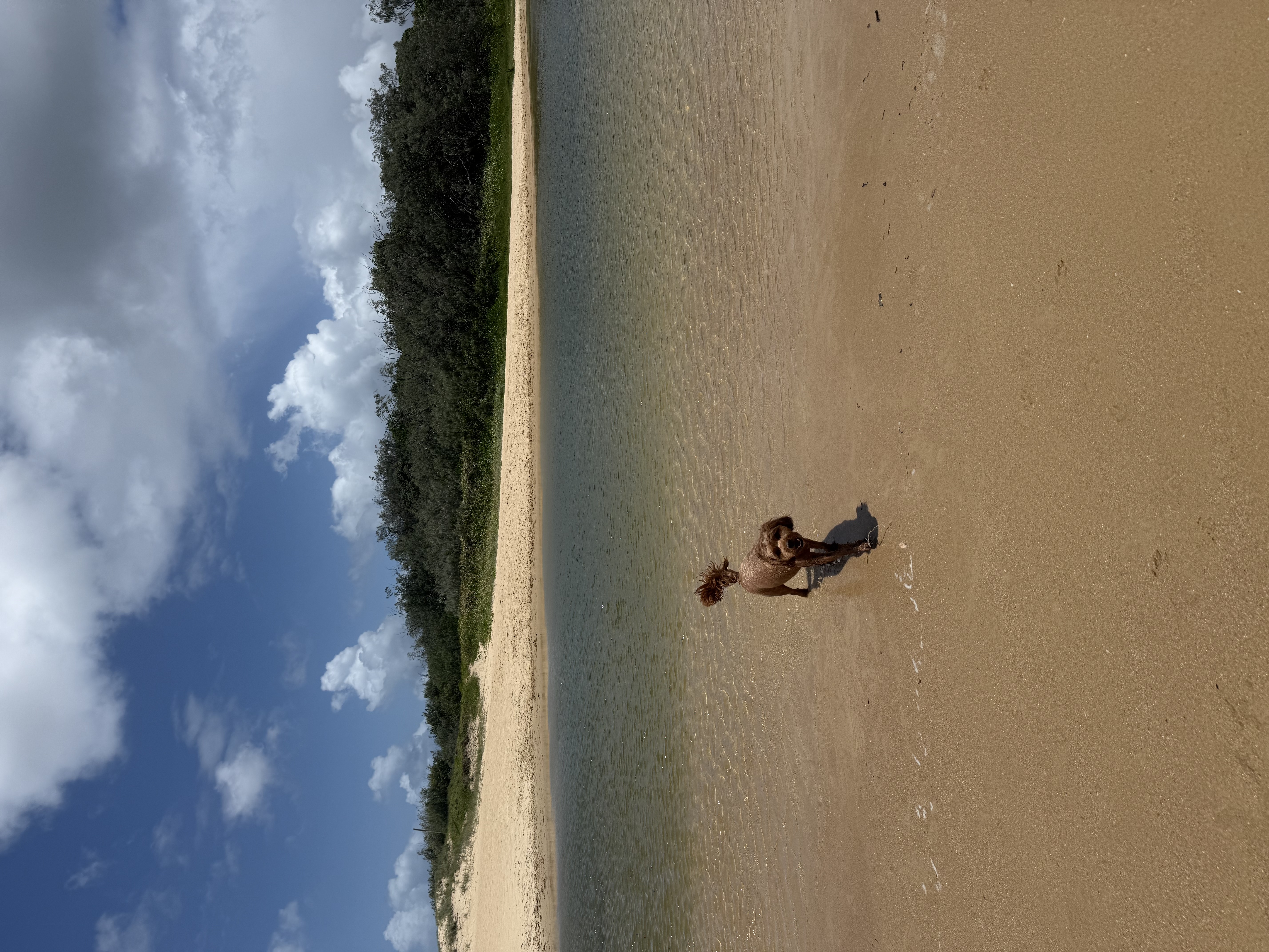 image-16