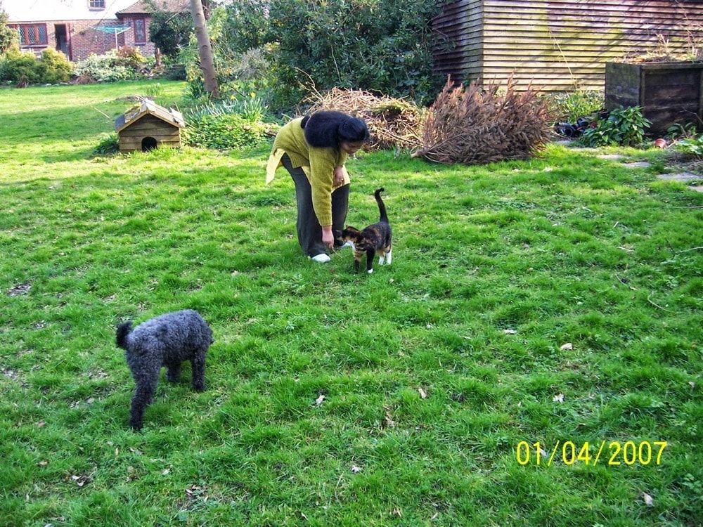 image-5