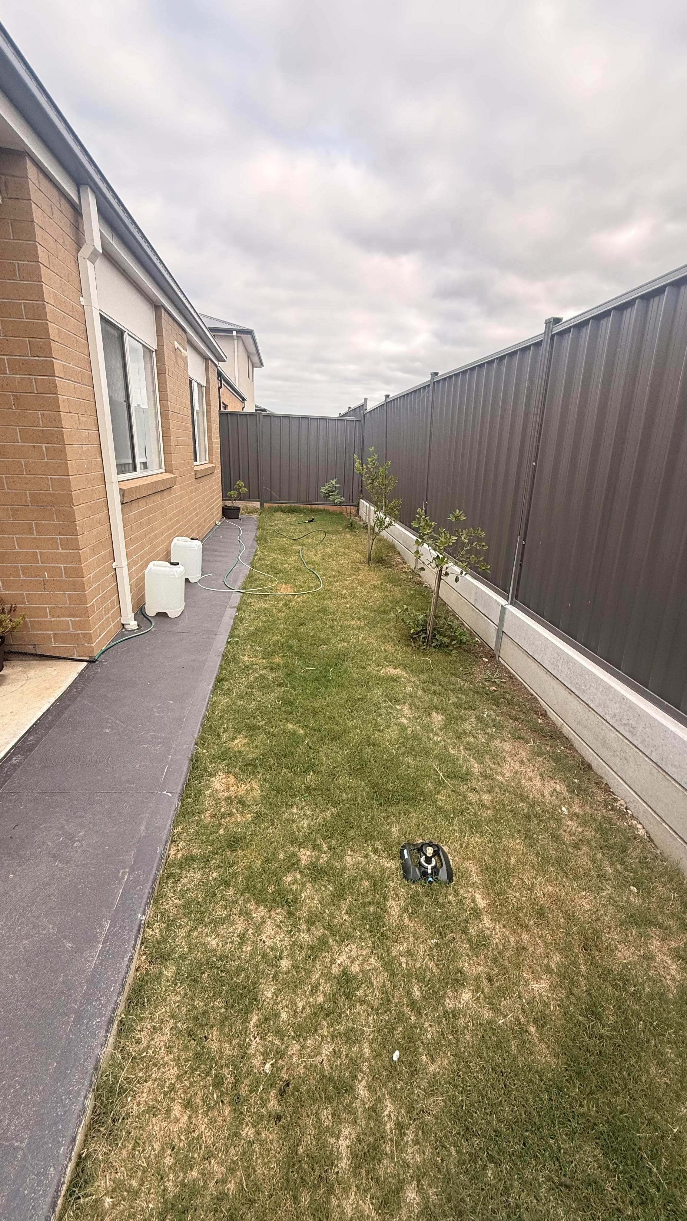image-10