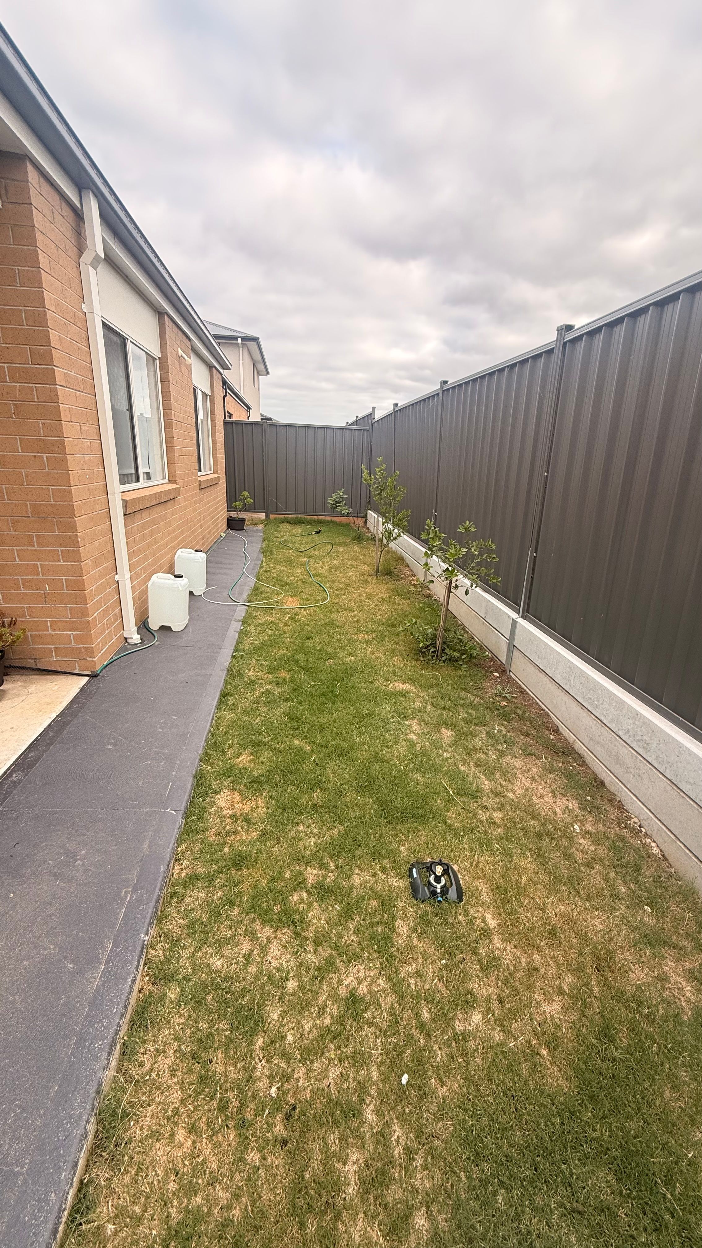 image-10