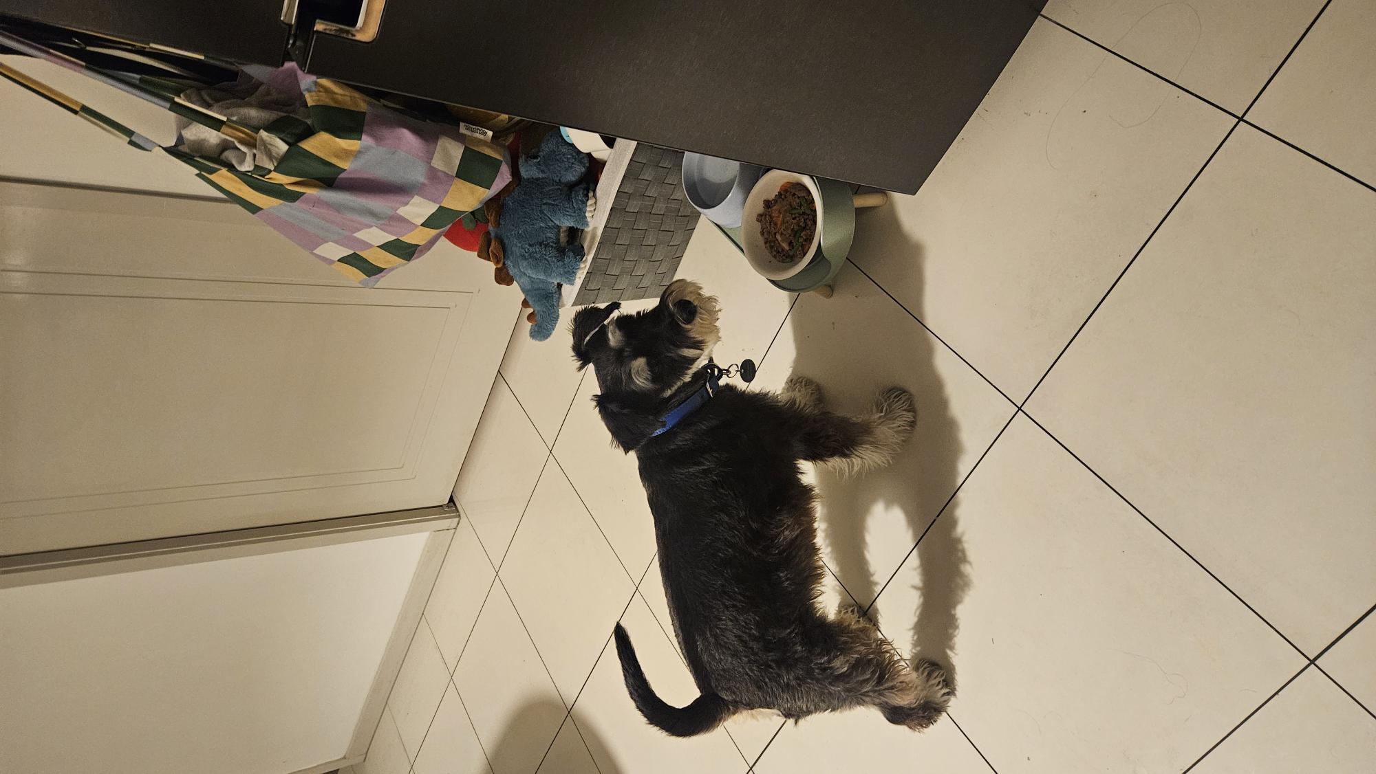 image-9