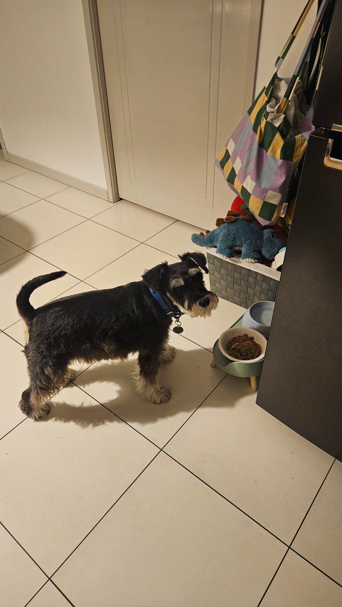 image-9