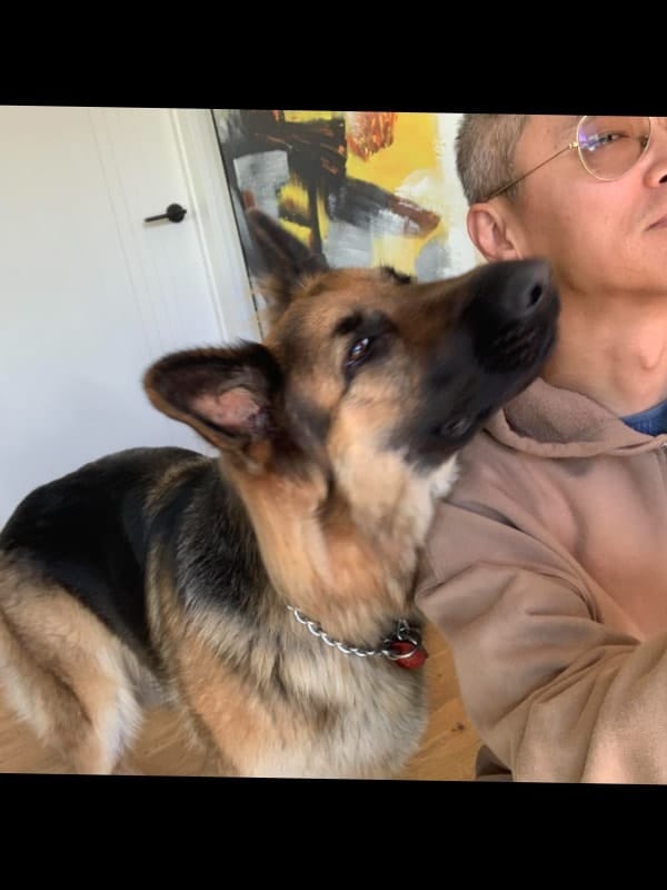 image-18