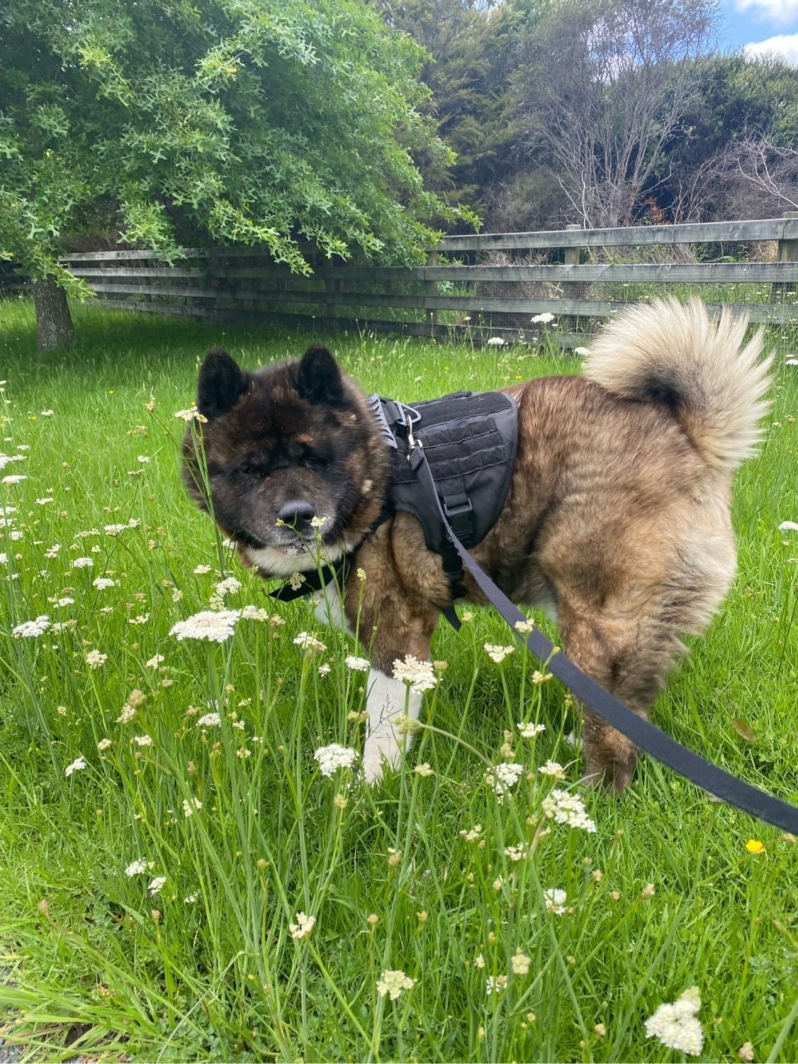 image-7