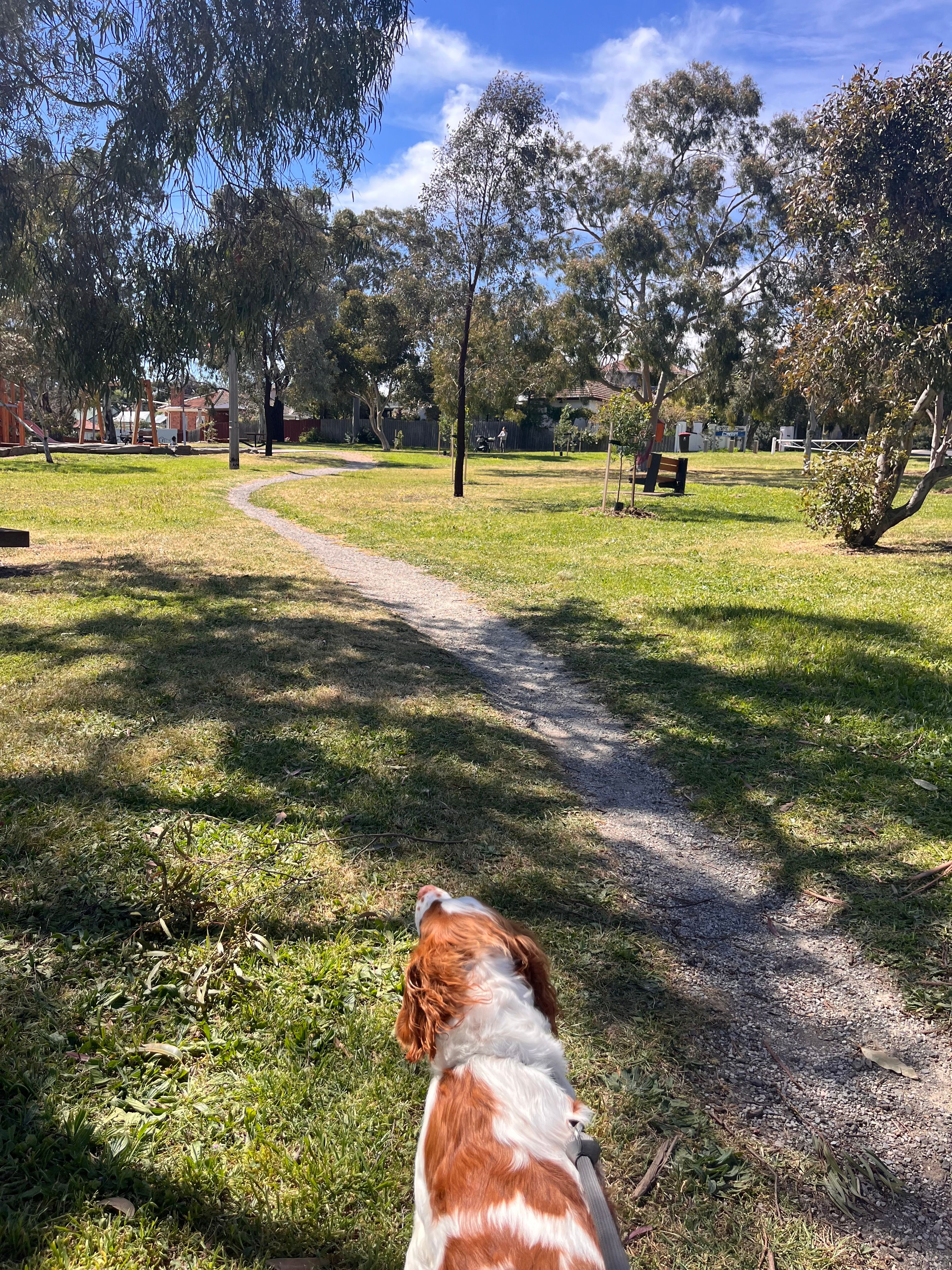 image-14