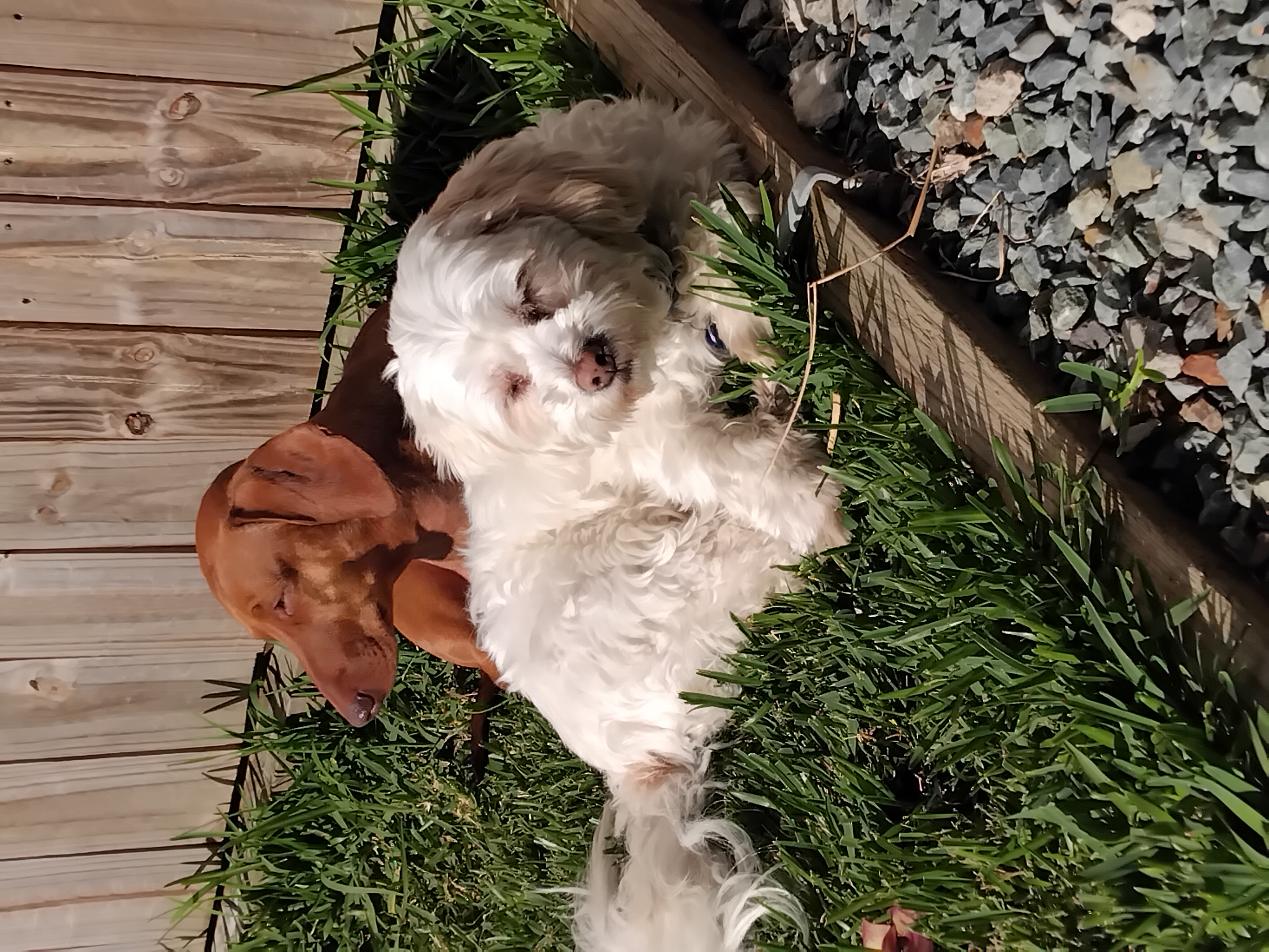 image-7
