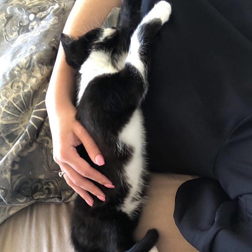 image-6