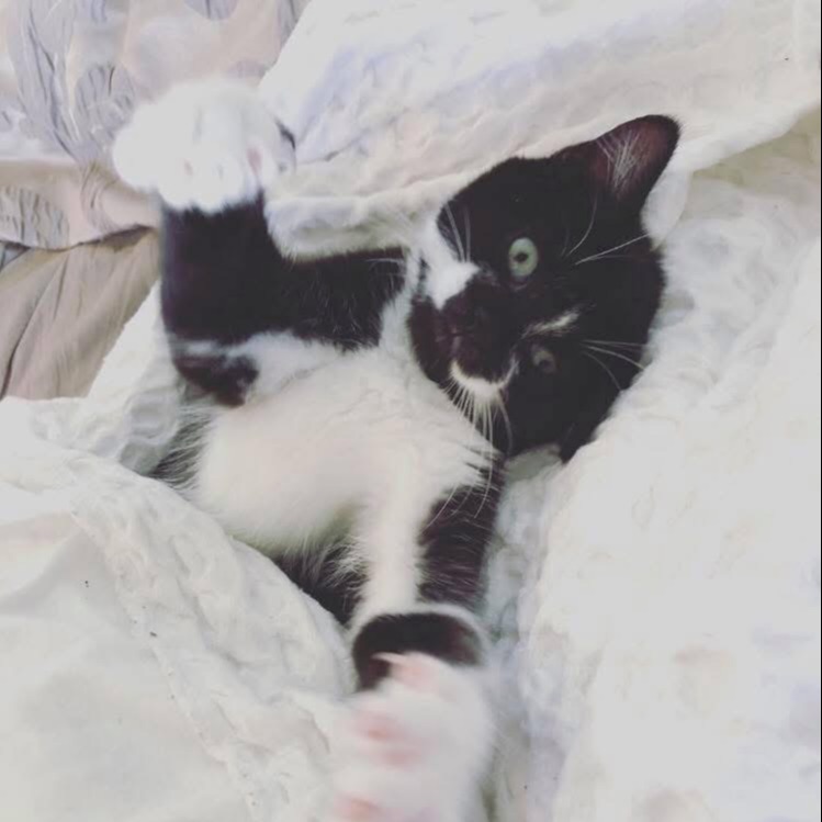 Luna