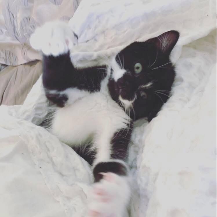 Luna