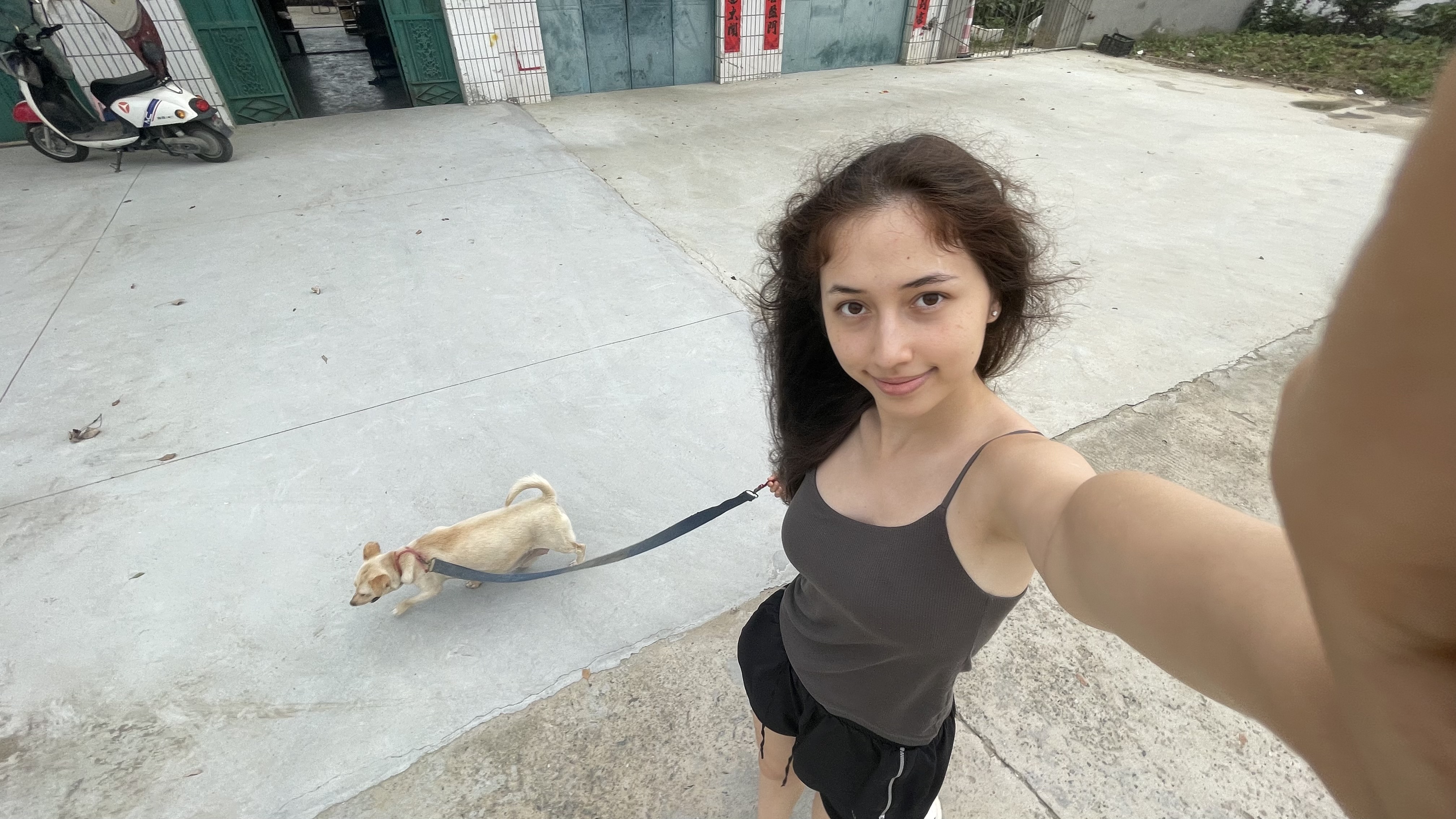 image-5