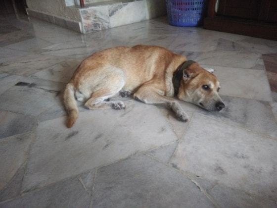 image-5